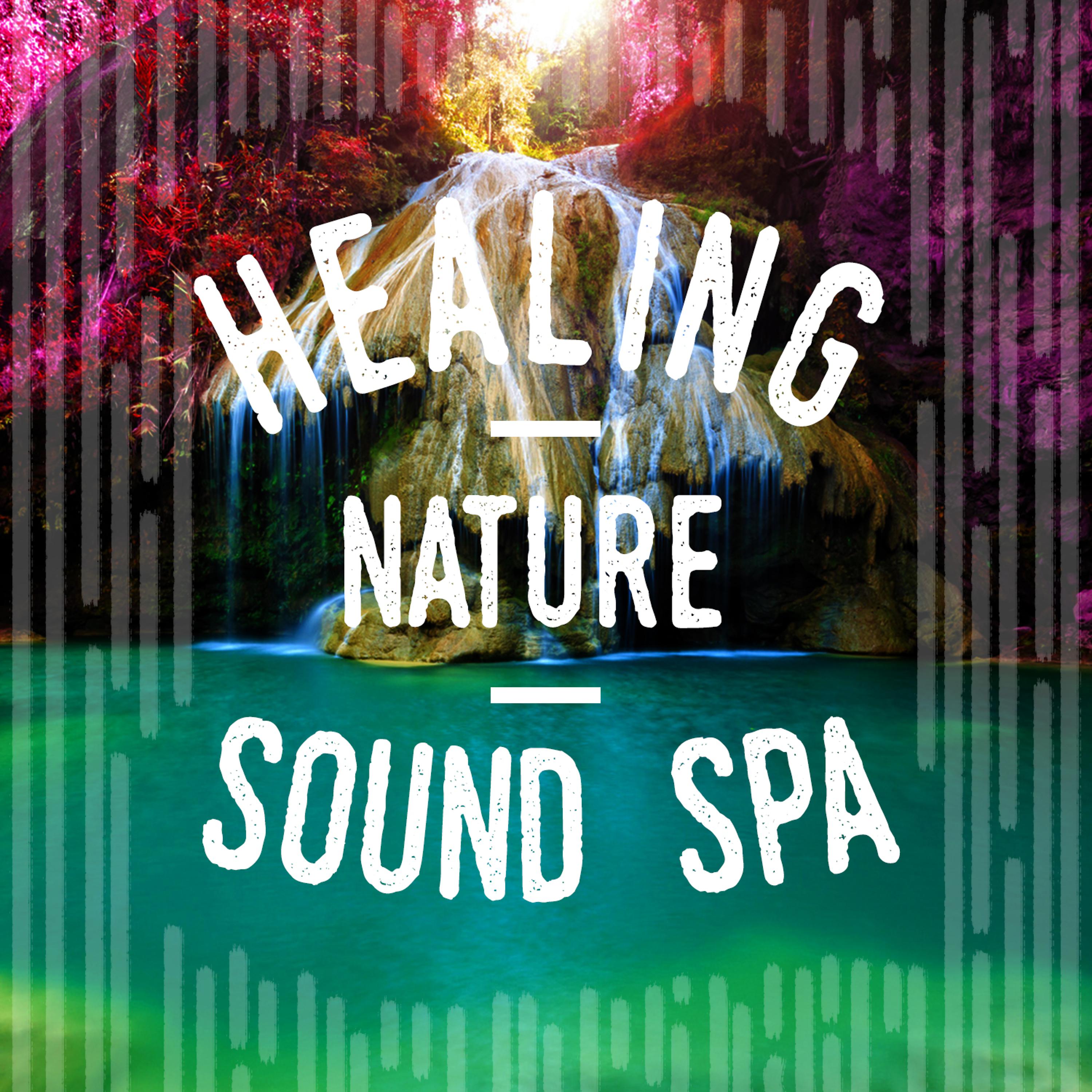 Постер альбома Healing Nature Sound Spa