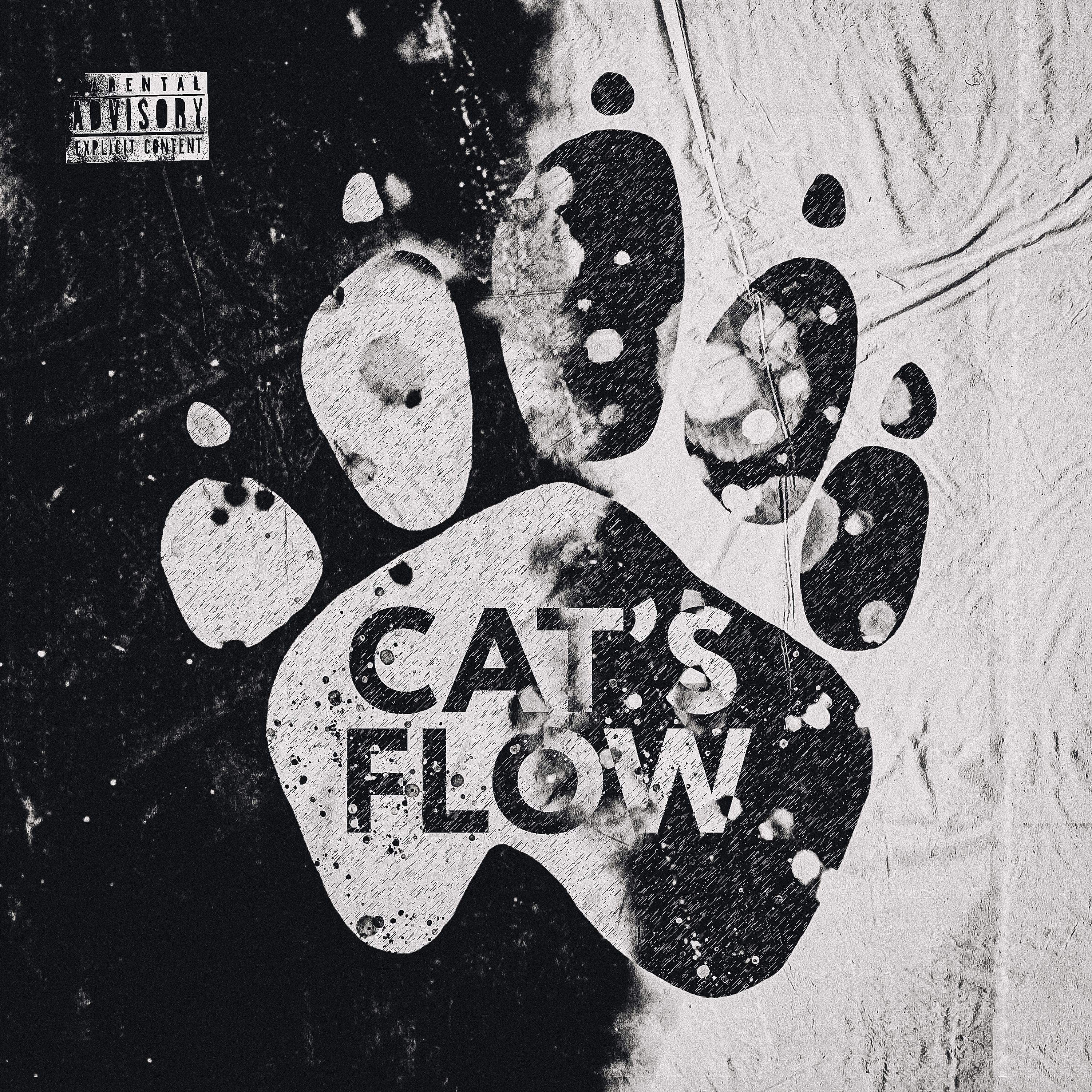 Постер альбома Cat's Flow