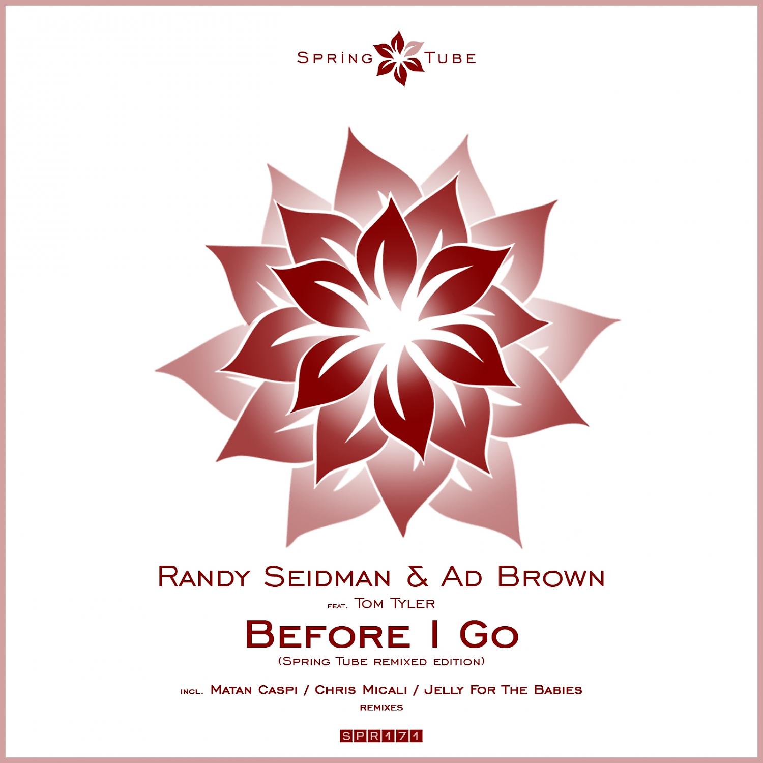 Постер альбома Before I Go (Spring Tube Remixed Edition)