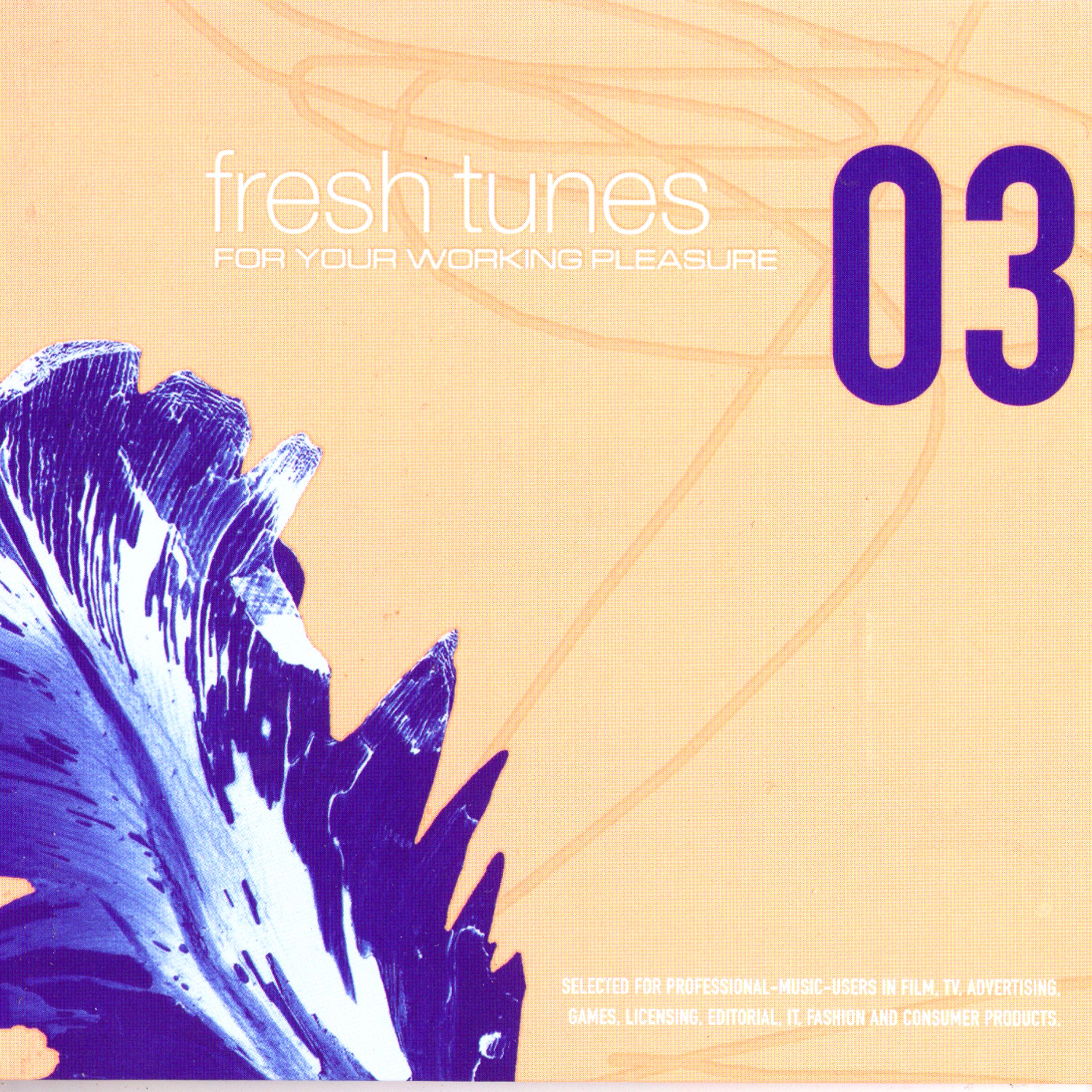 Постер альбома Fresh Tunes 03