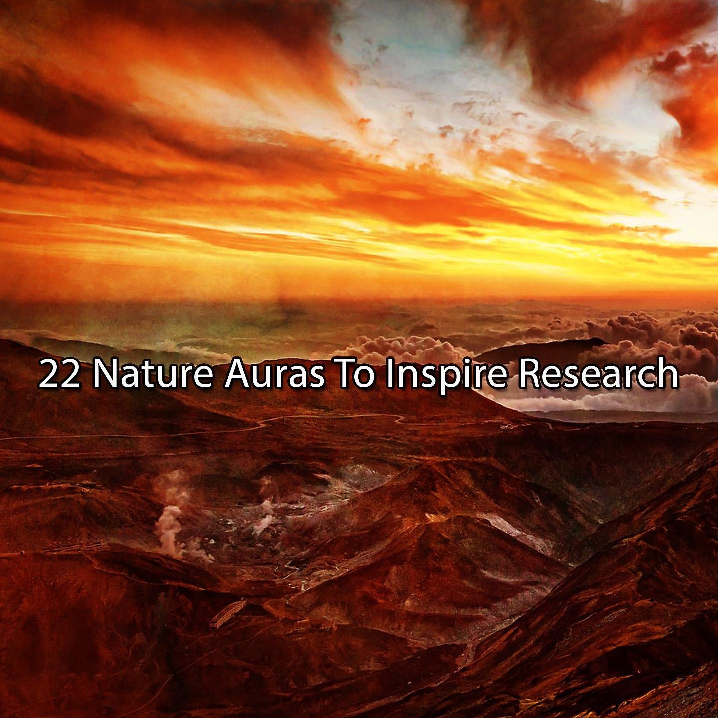 Постер альбома 22 ауры природы, вдохновляющие на исследования