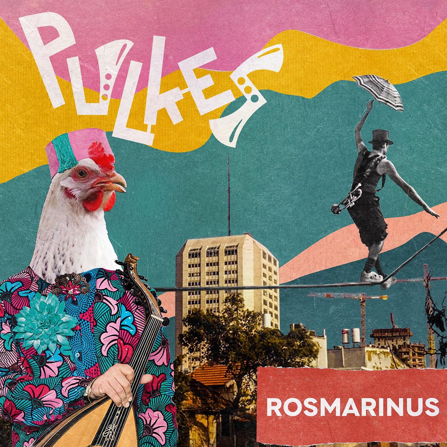 Постер альбома Rosmarinus