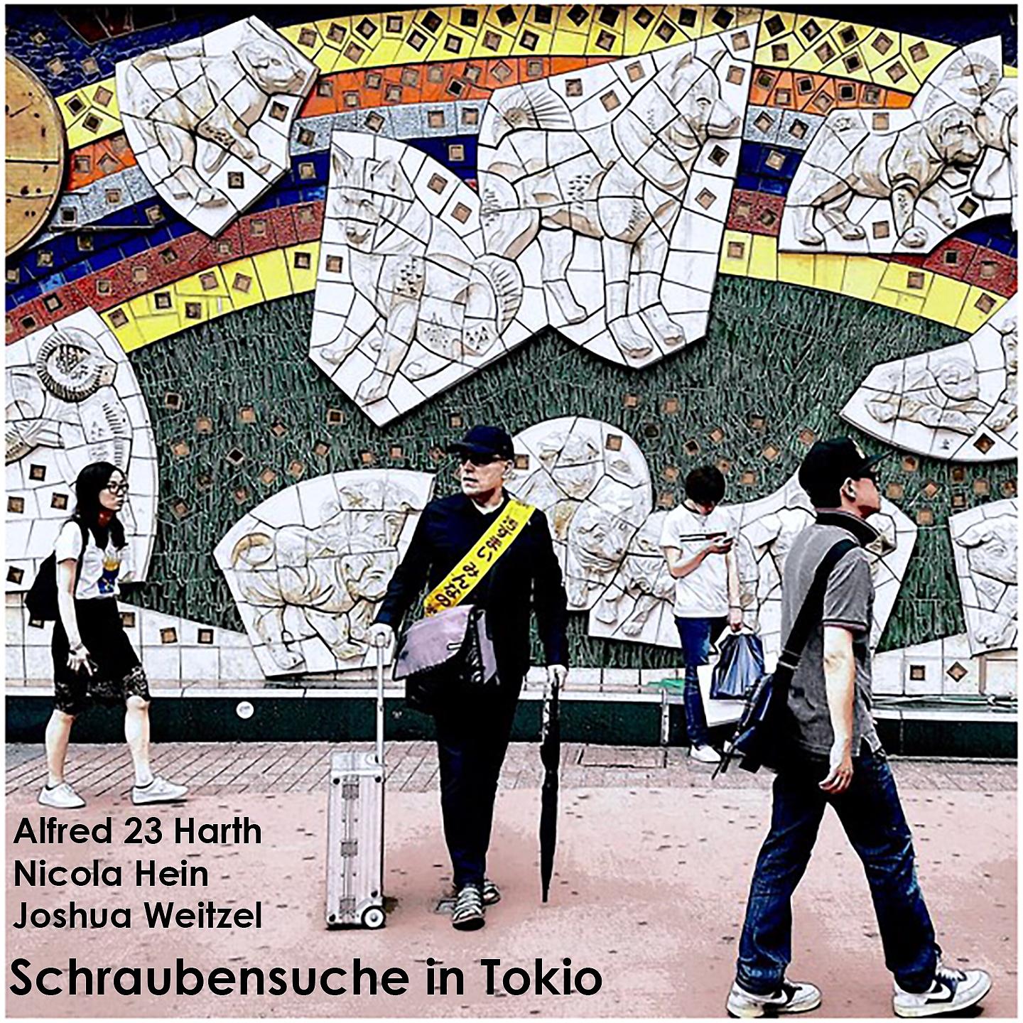 Постер альбома Schraubensuche In Tokio