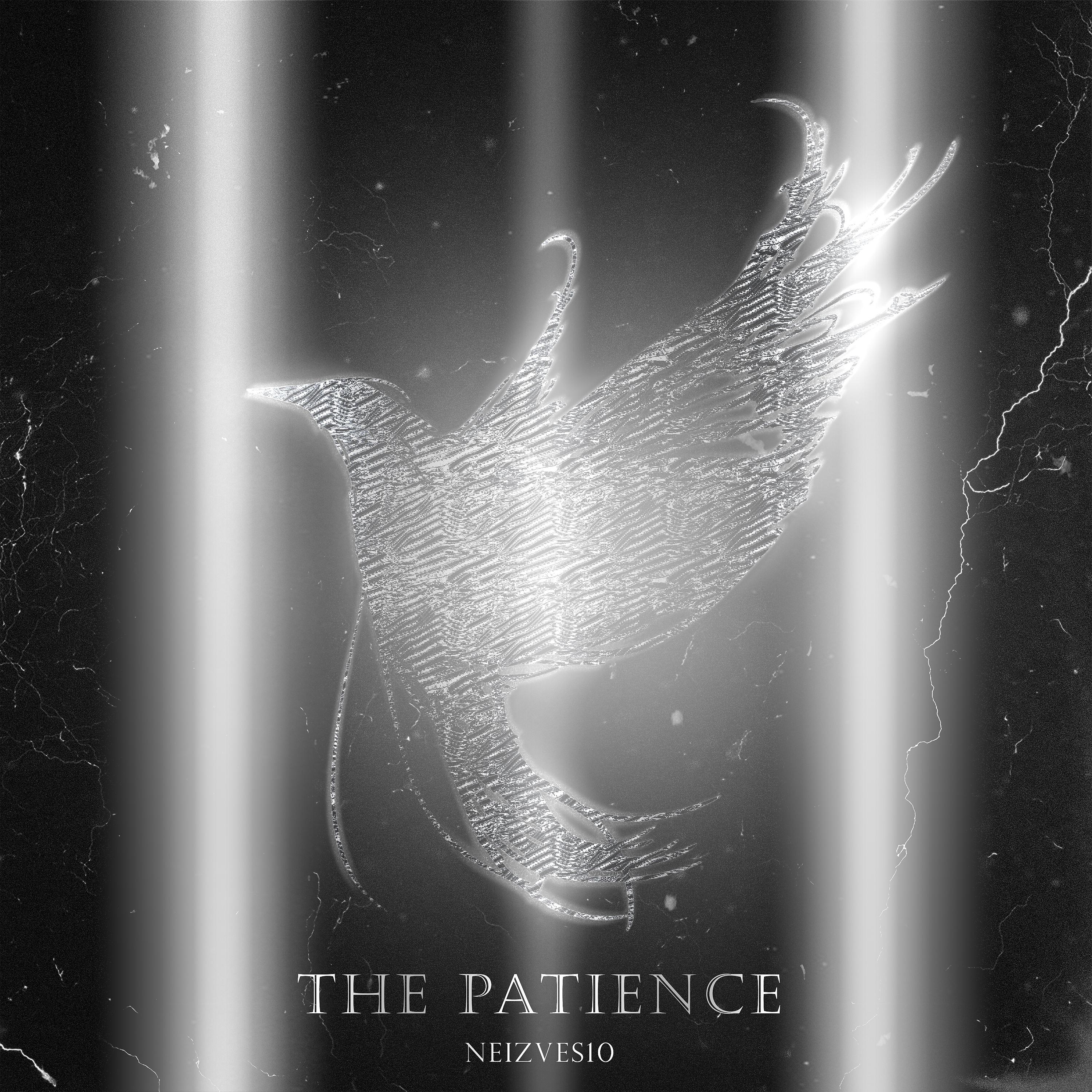 Постер альбома The Patience (Prod. by YA3VA)
