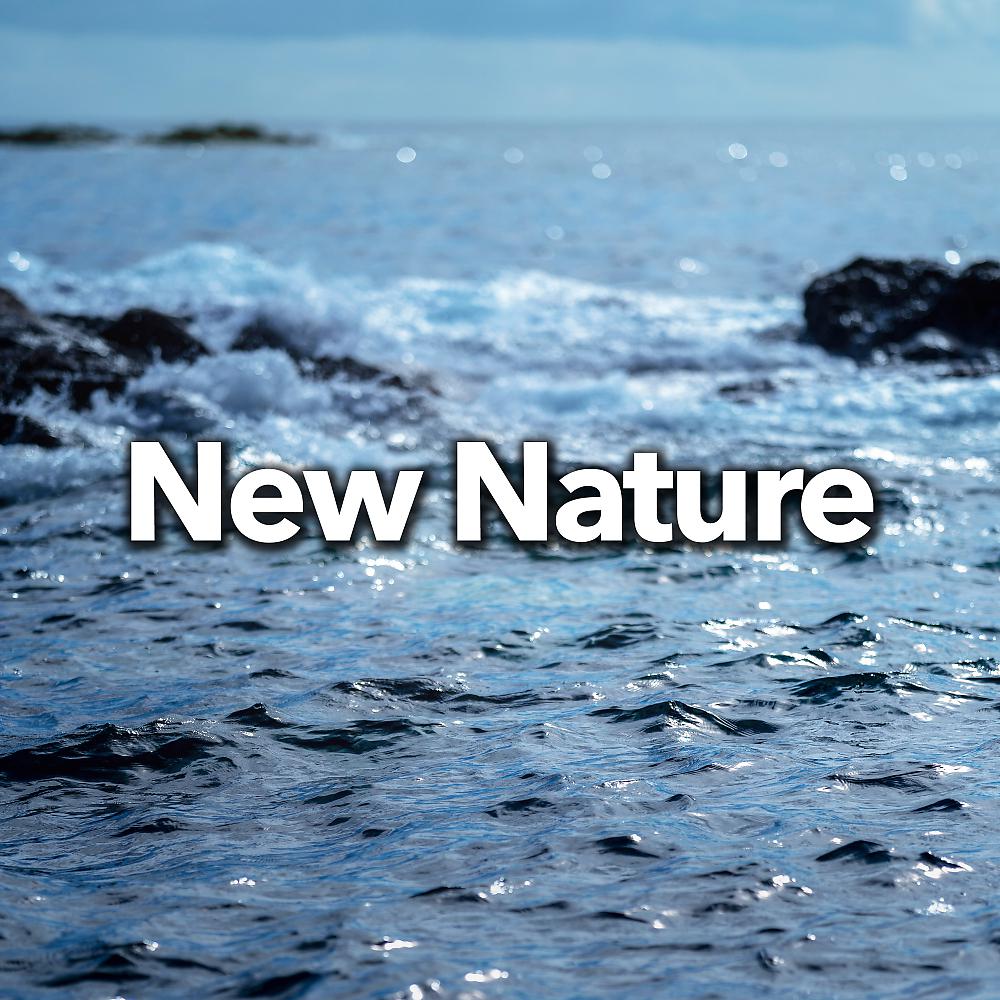 Постер альбома New Nature