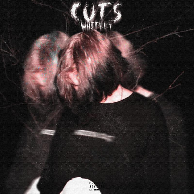 Постер альбома Cuts