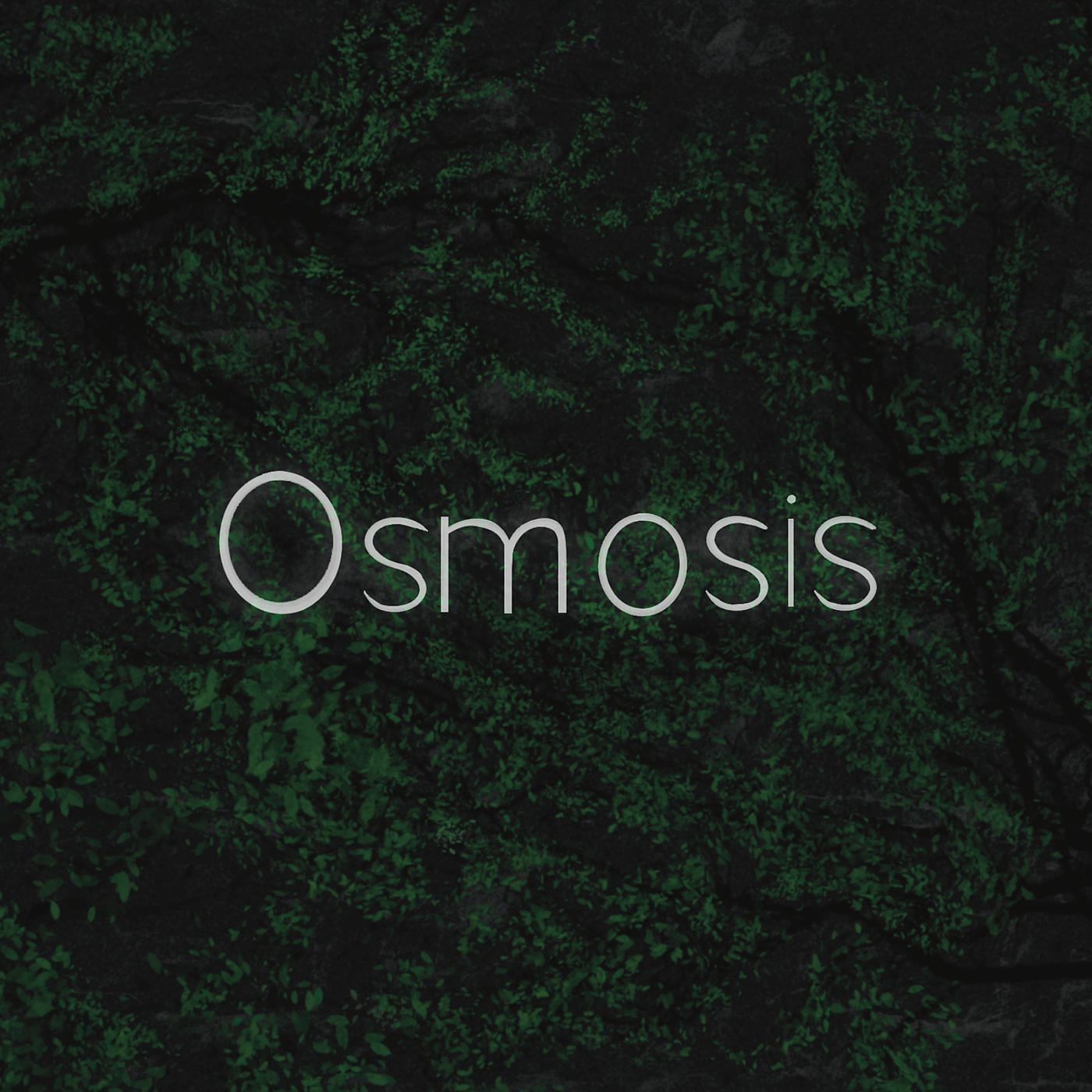 Постер альбома Osmosis