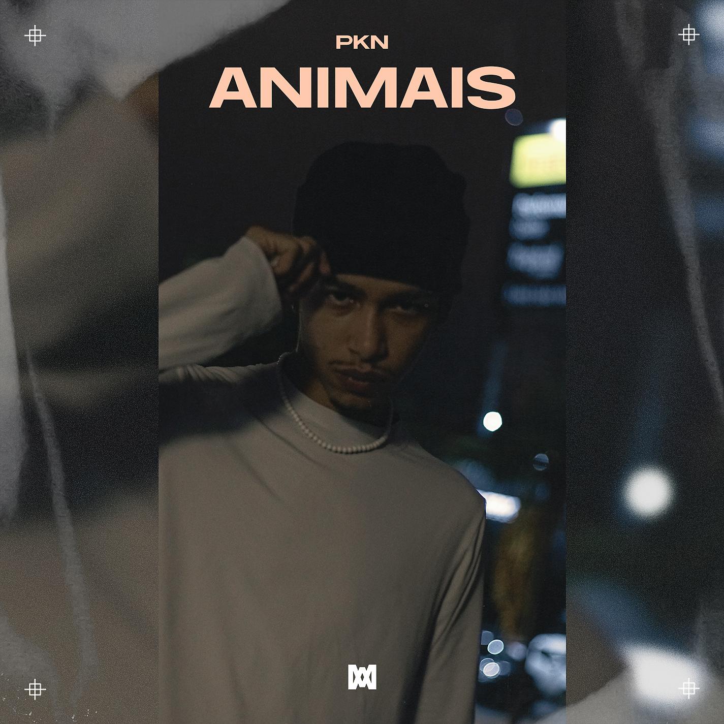 Постер альбома Animais