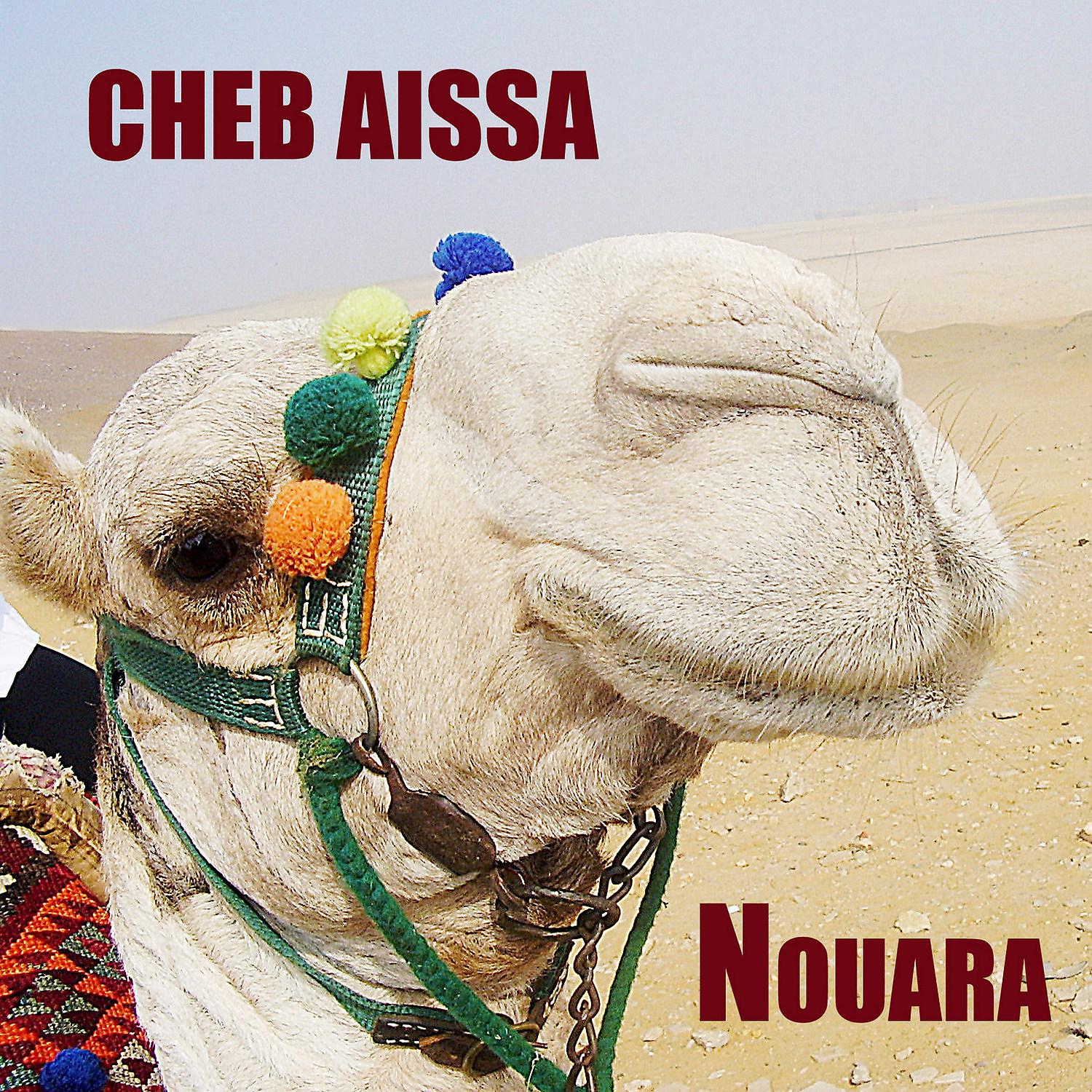 Постер альбома Cheb Aïssa , Nouara