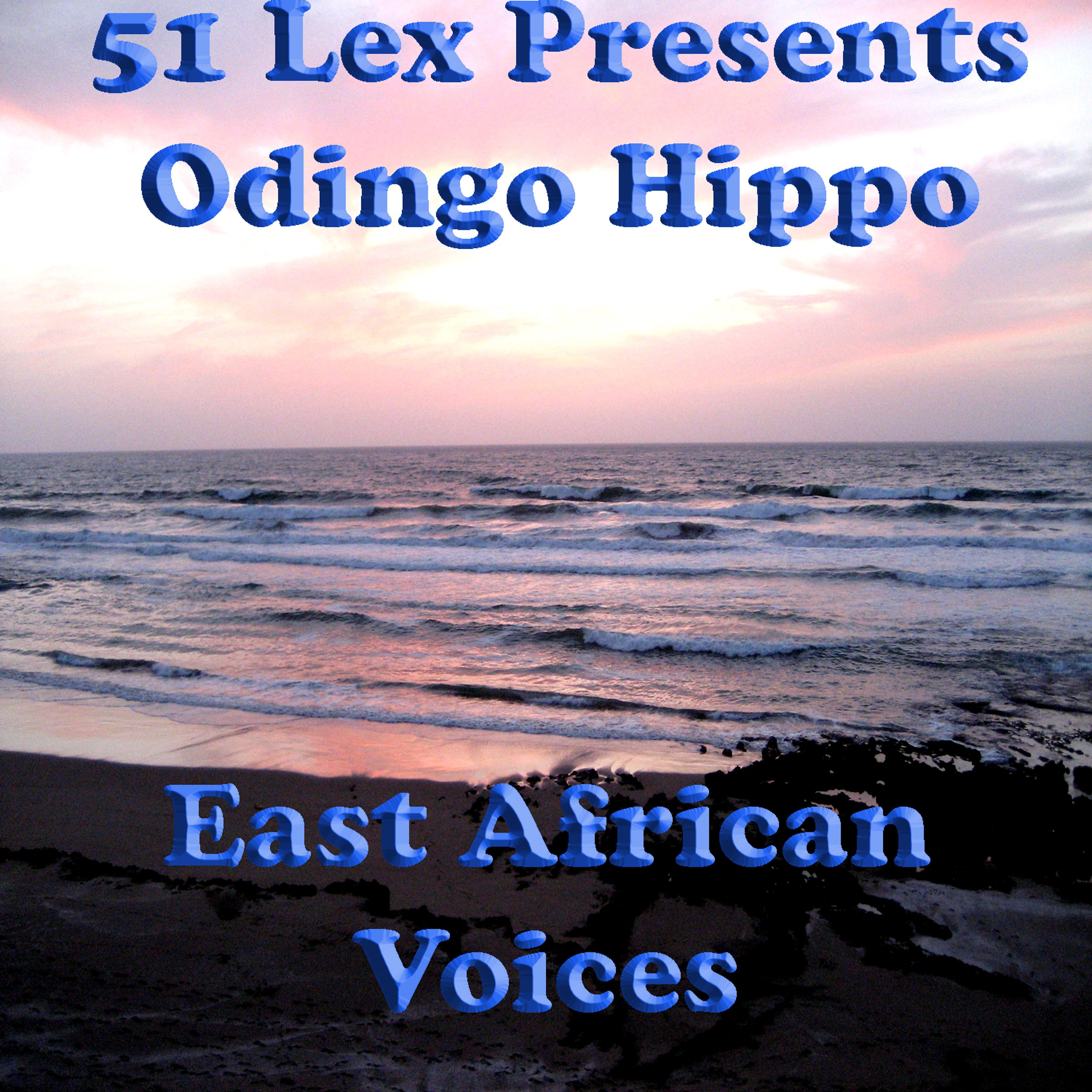 Постер альбома 51 Lex Presents Odingo Hippo