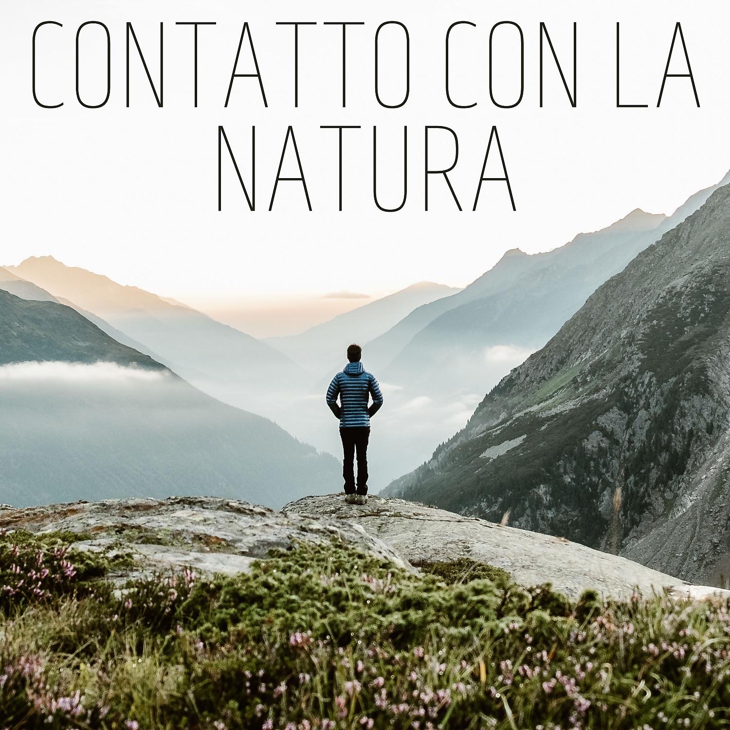 Постер альбома Contatto Con La Natura