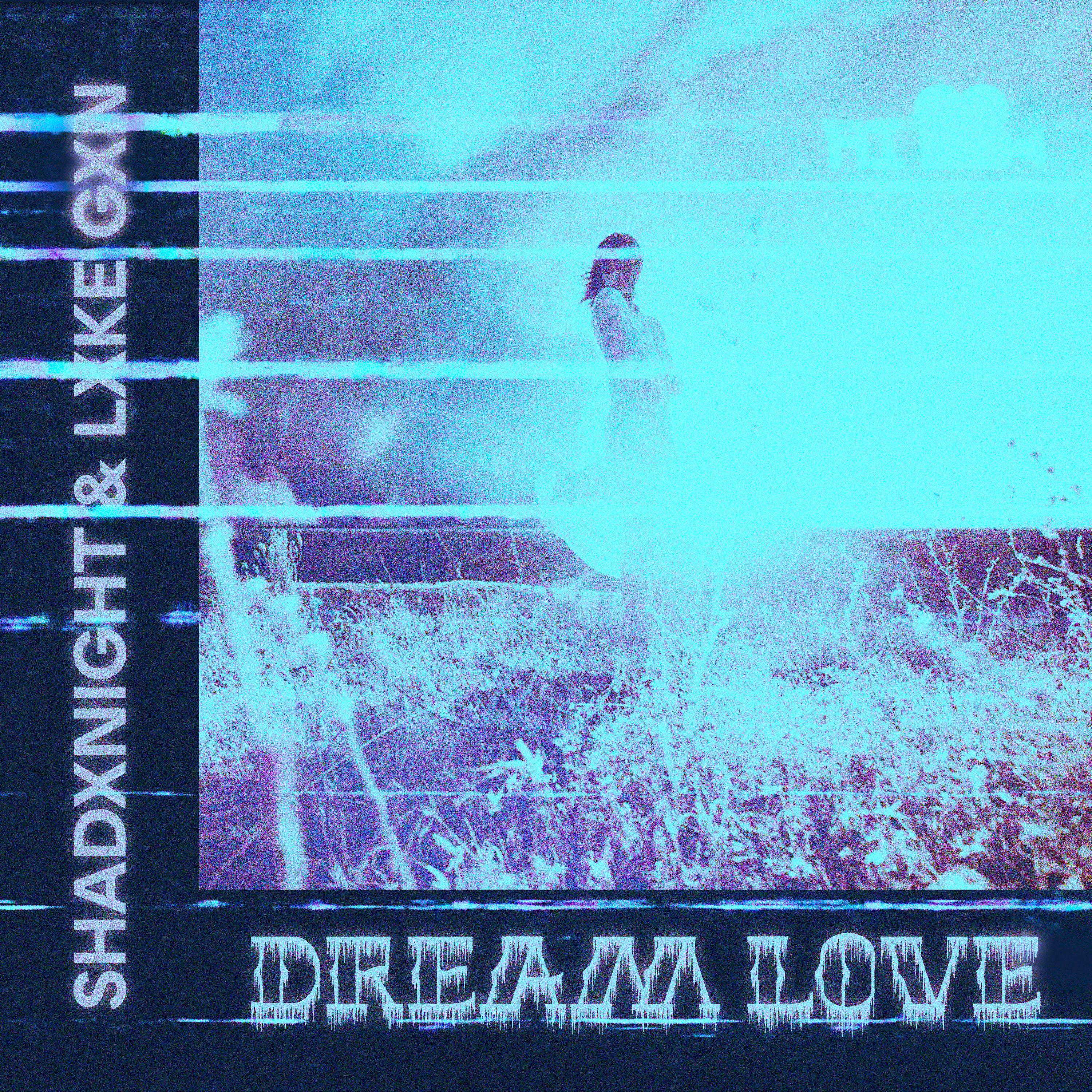 Постер альбома Dream Love (Slowed & Reverb)