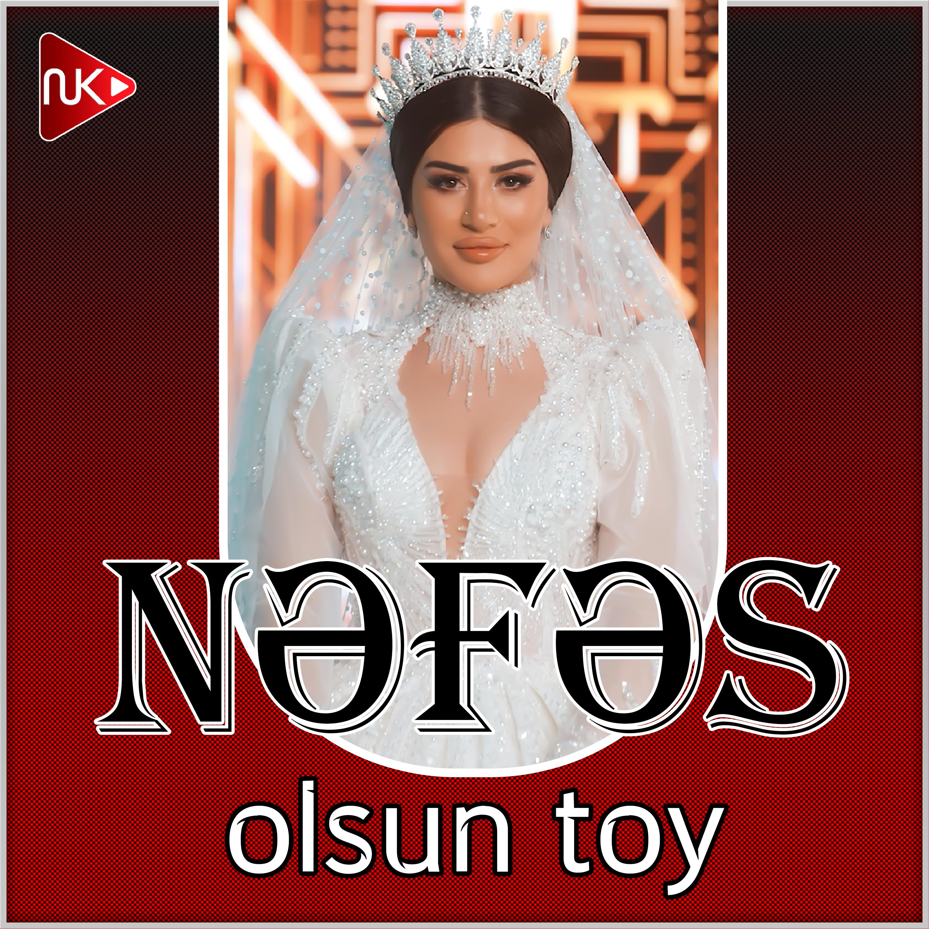 Постер альбома Olsun Toy
