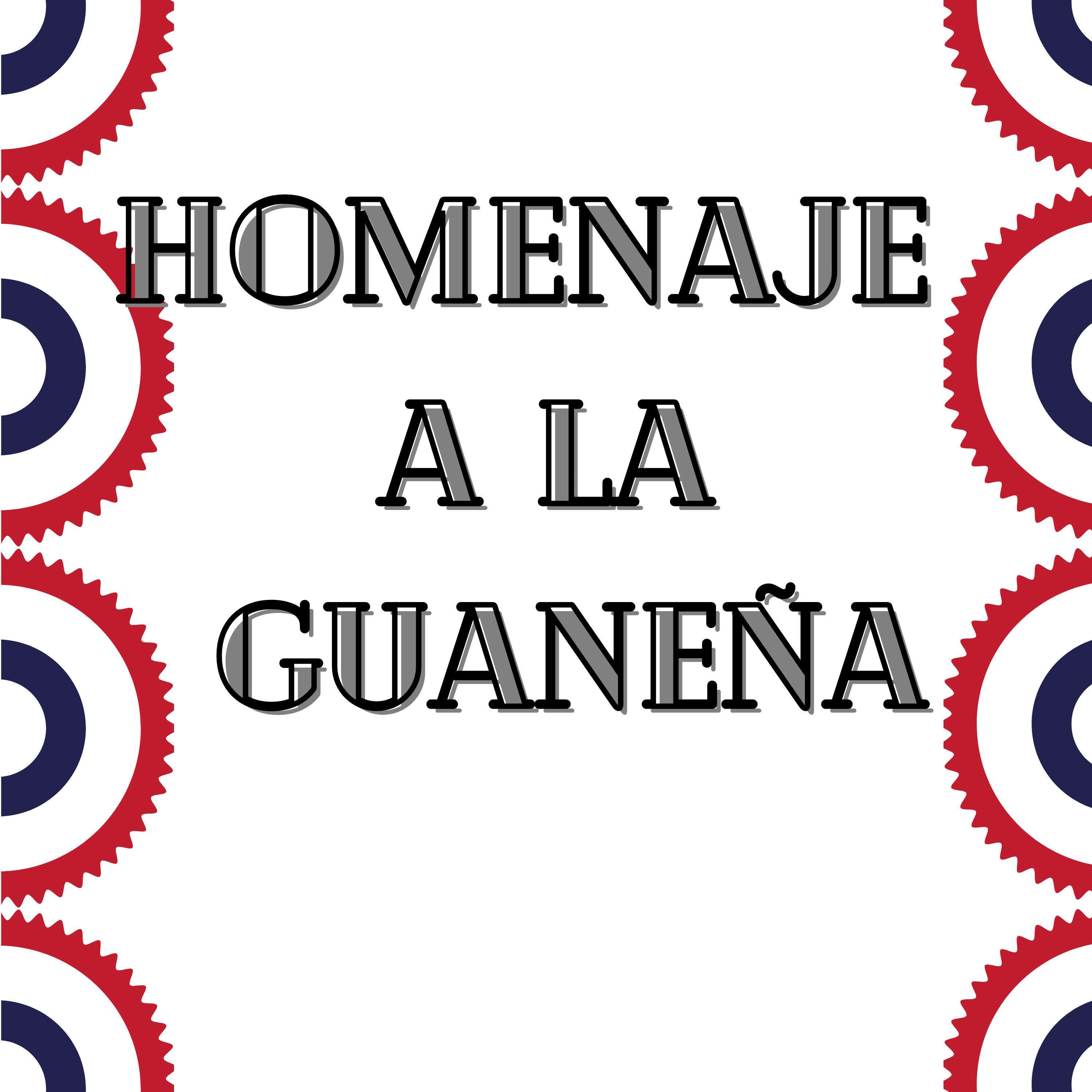 Постер альбома Homenaje a la Guaneña