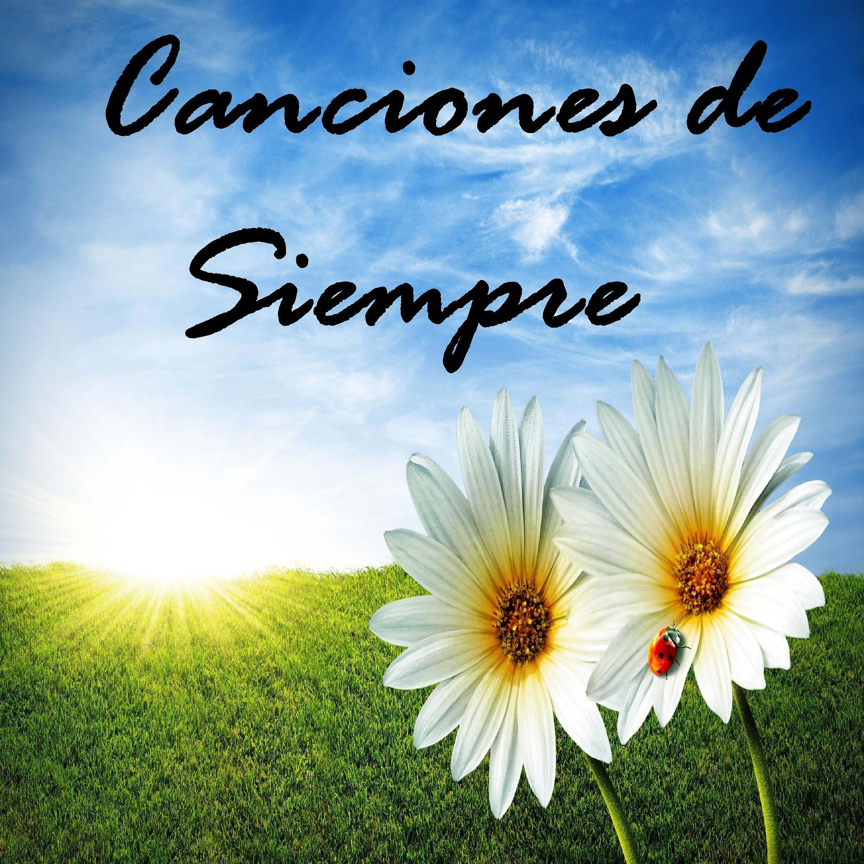 Постер альбома Canciones de Siempre