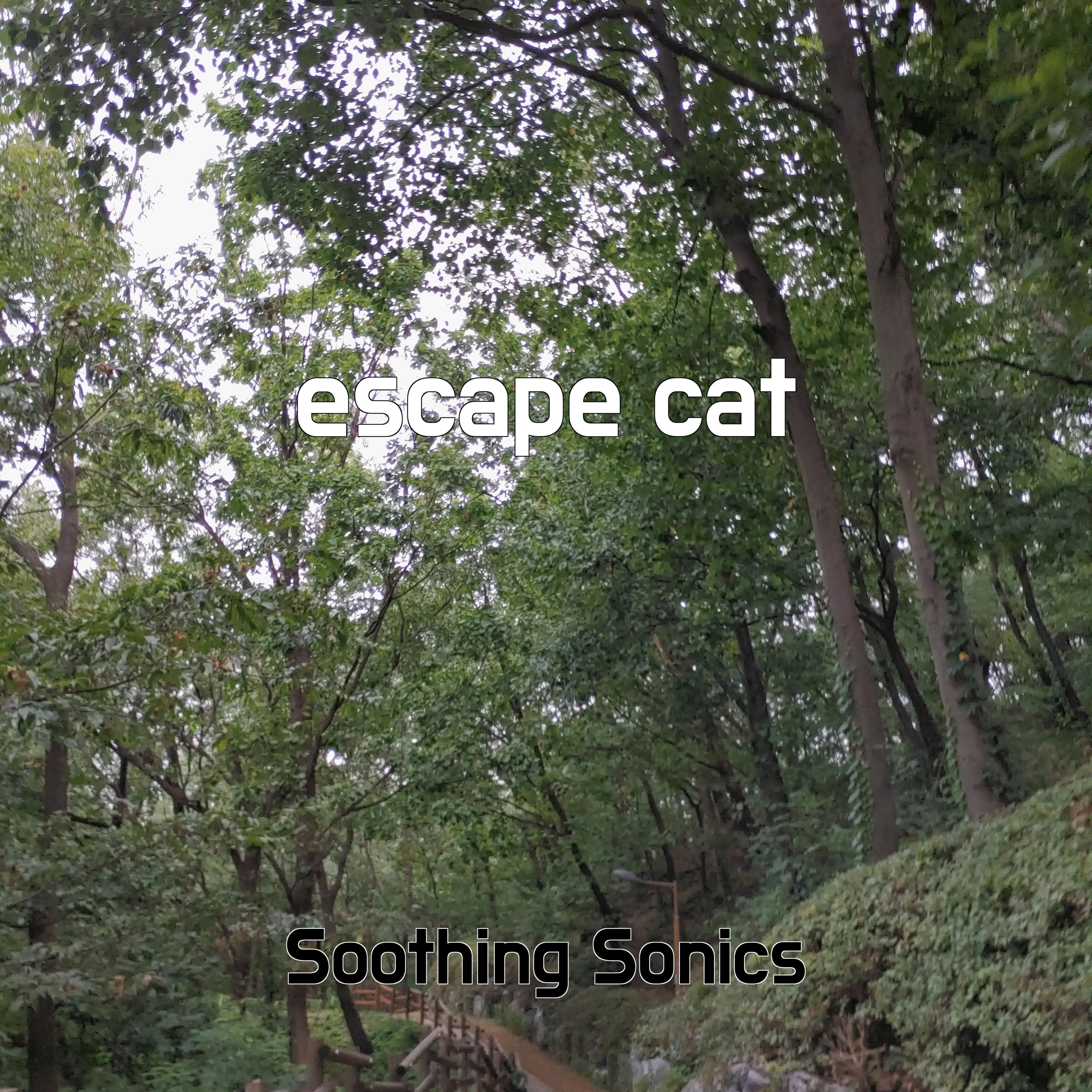 Постер альбома escape cat