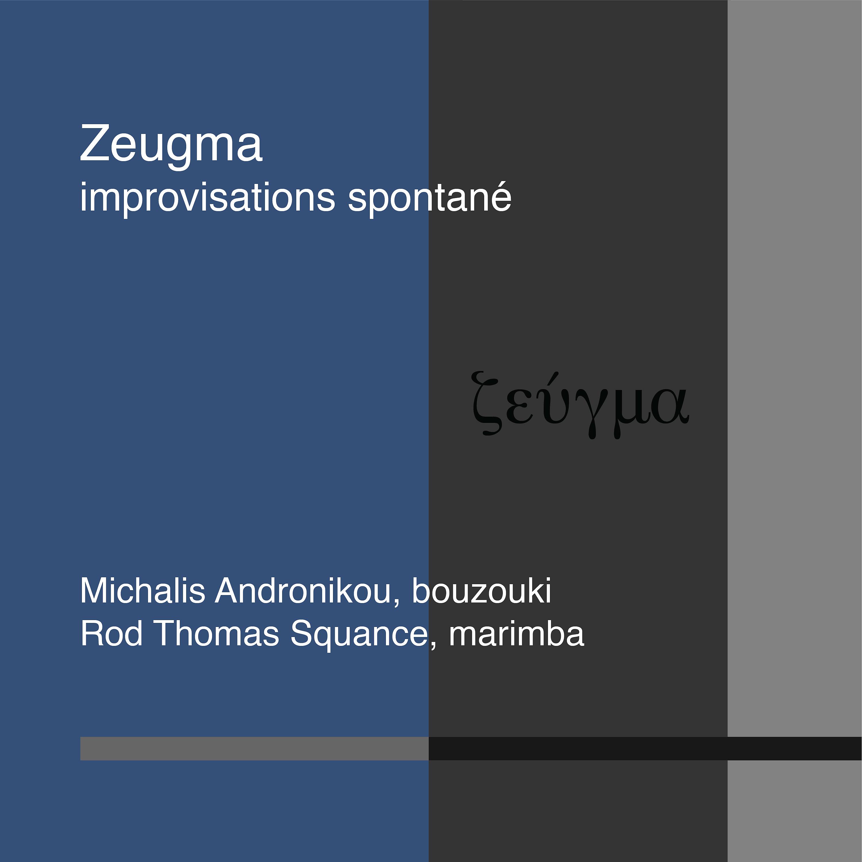 Постер альбома Zeugma, improvisations spontané