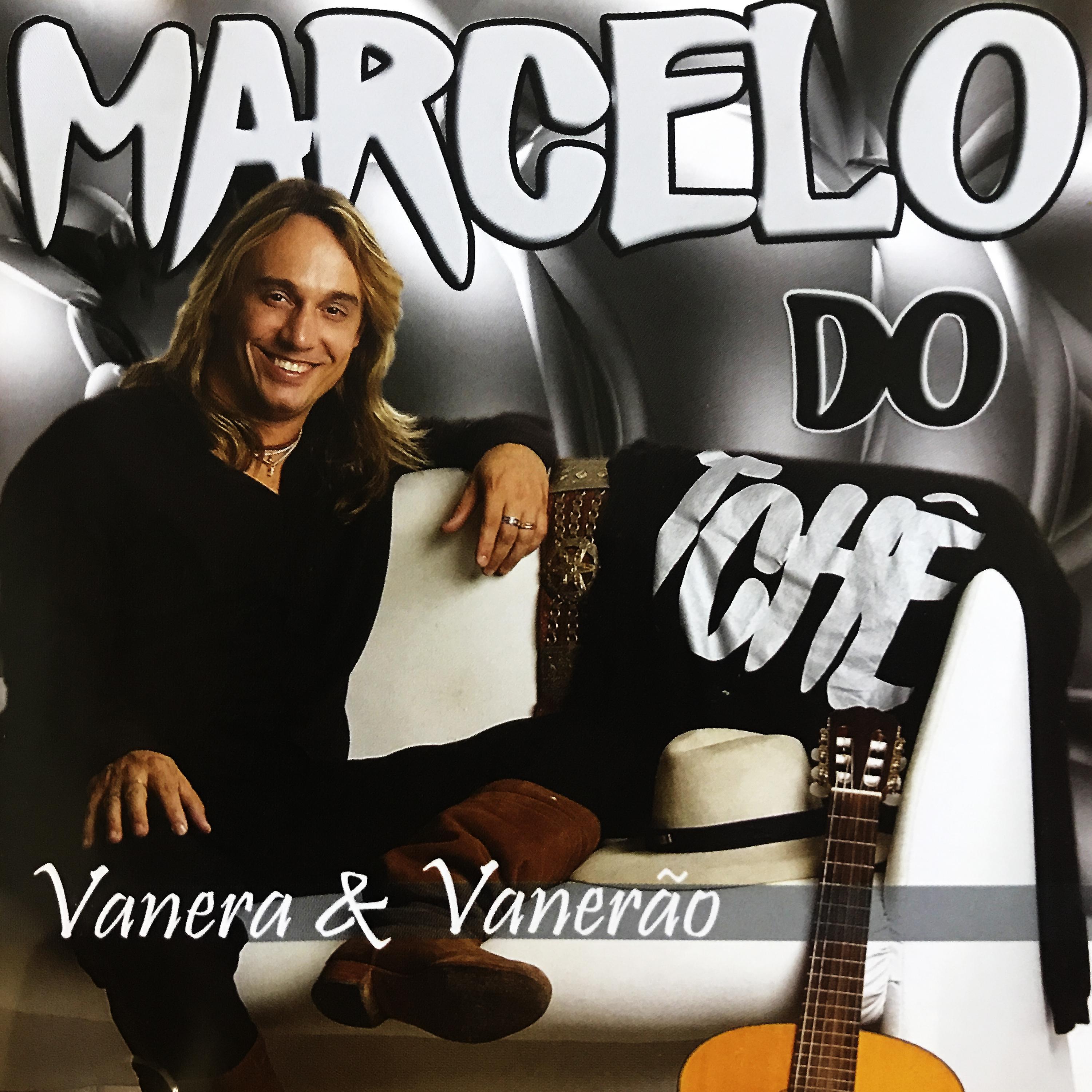 Постер альбома Vanera e Vanerão
