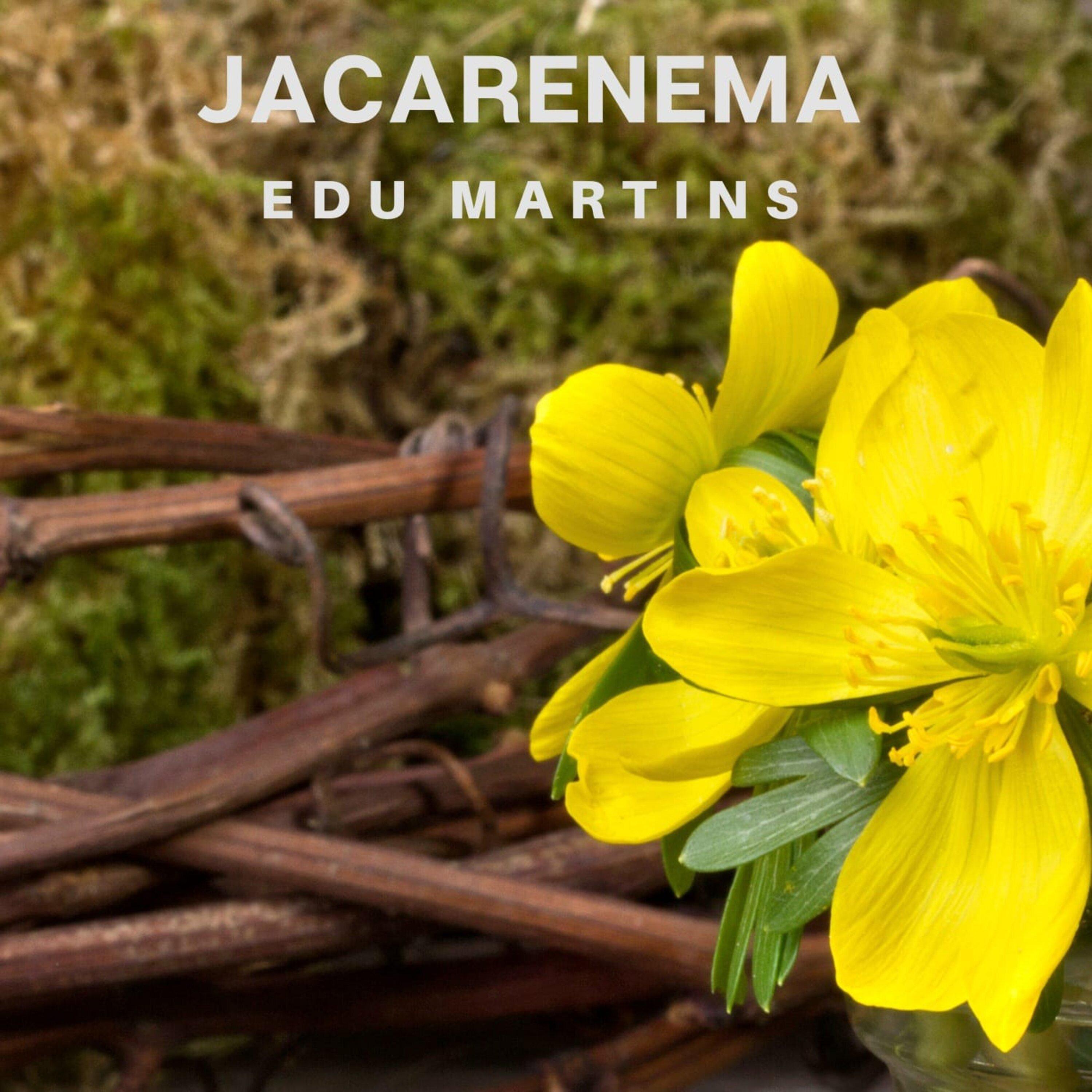 Постер альбома Jacarenema