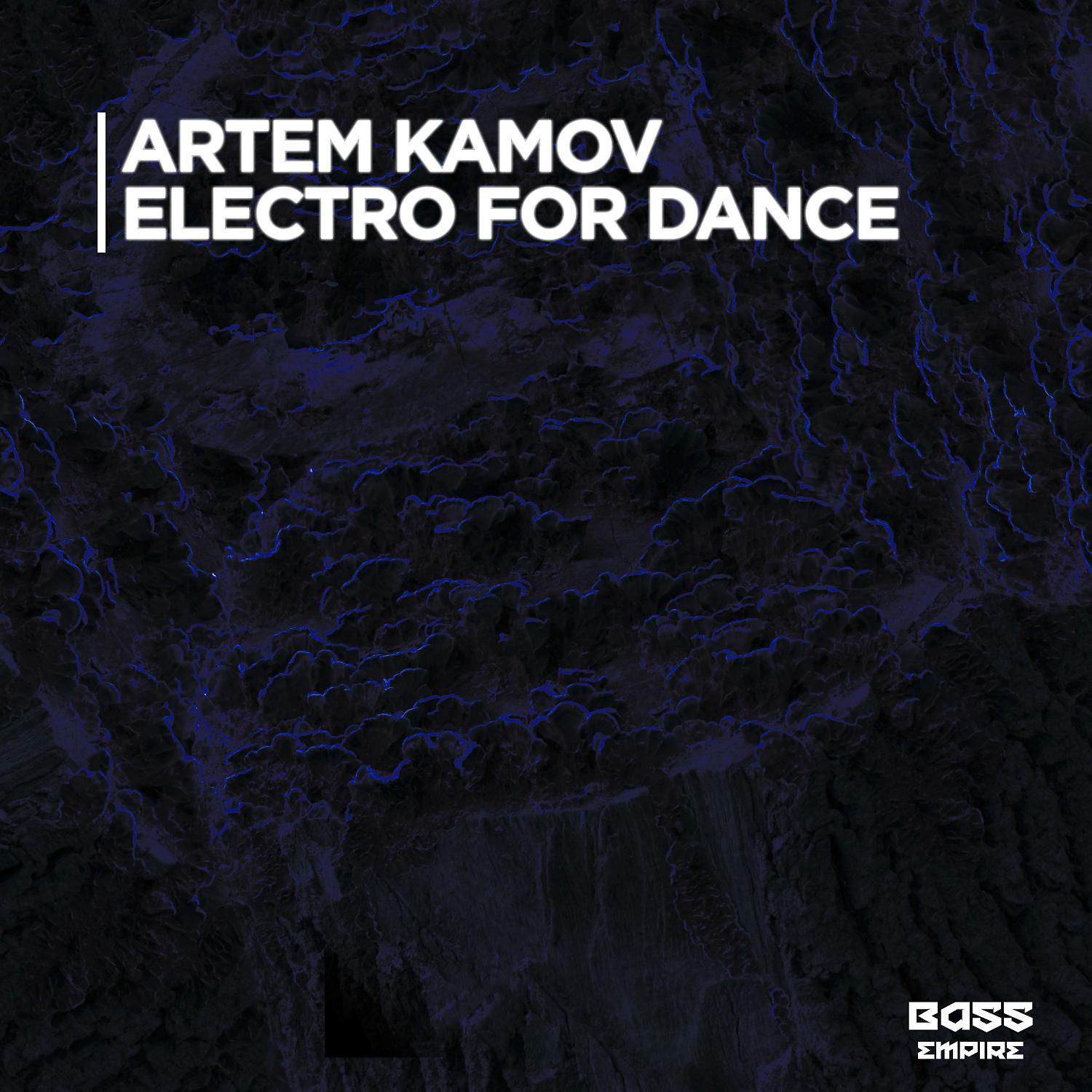Постер альбома Electro for Dance