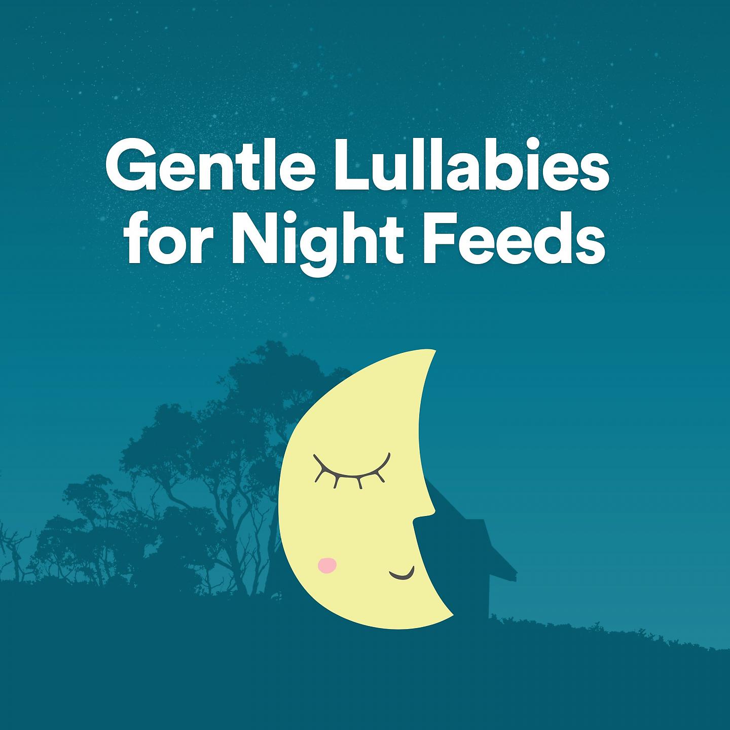 Постер альбома Gentle Lullabies for Night Feeds