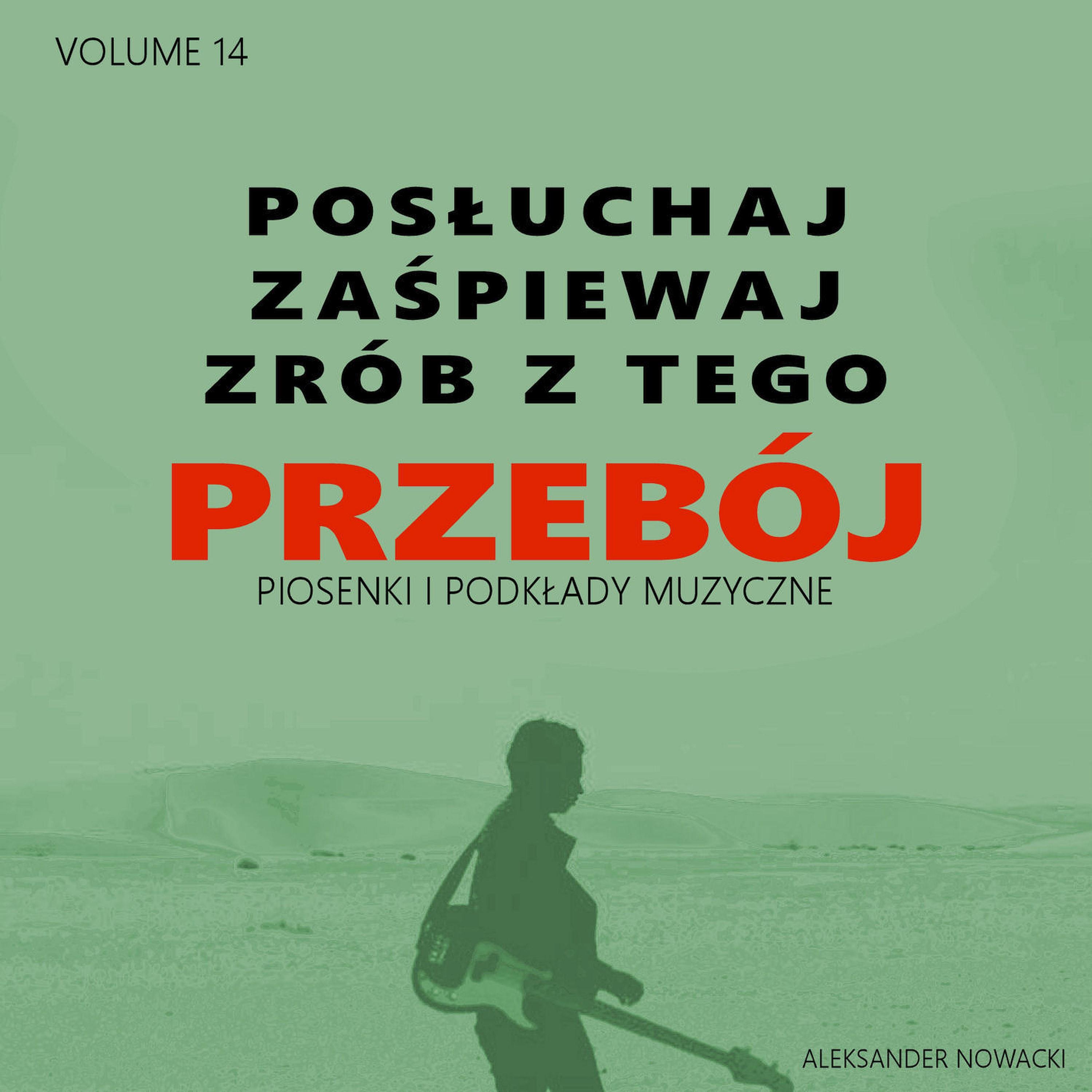 Постер альбома Posłuchaj zaśpiewaj zrób z tego Przebój, Vol. 14
