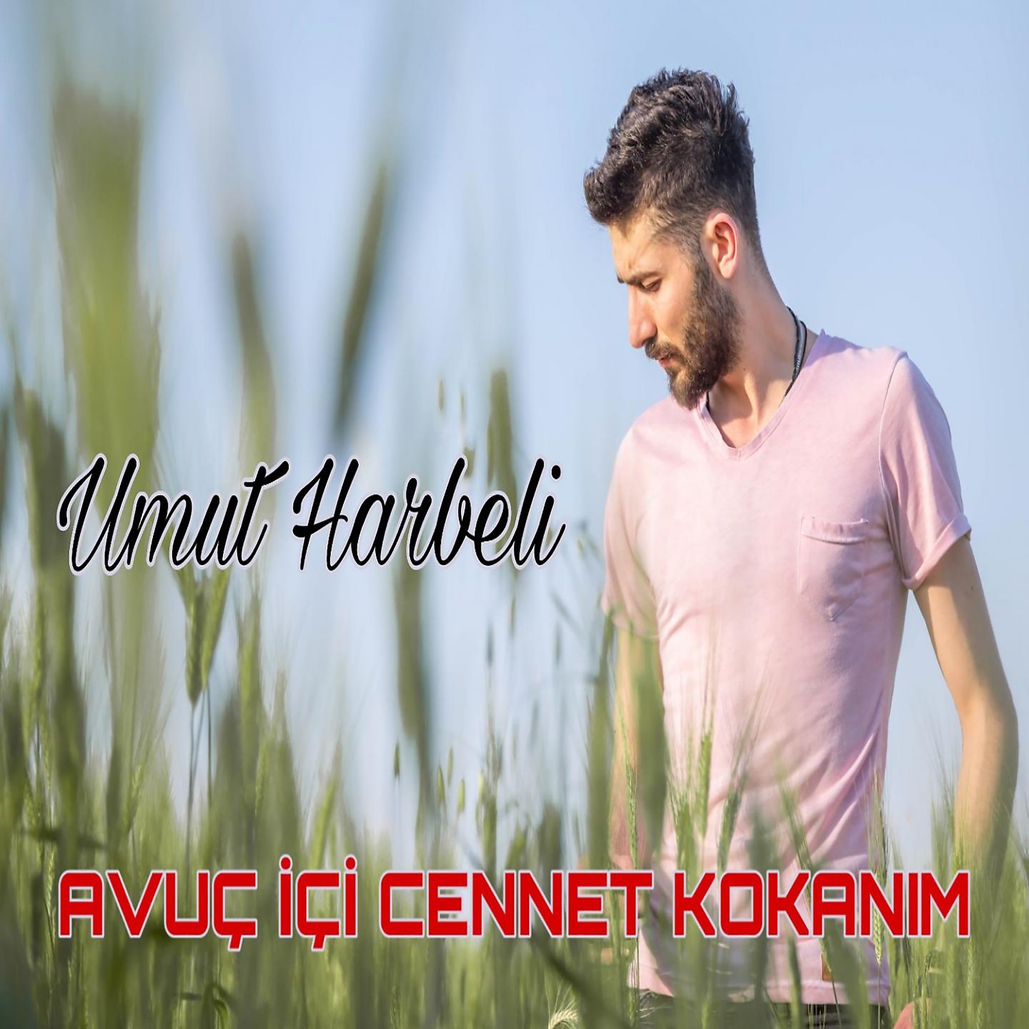 Постер альбома Avuç İçi Cennet Kokanım
