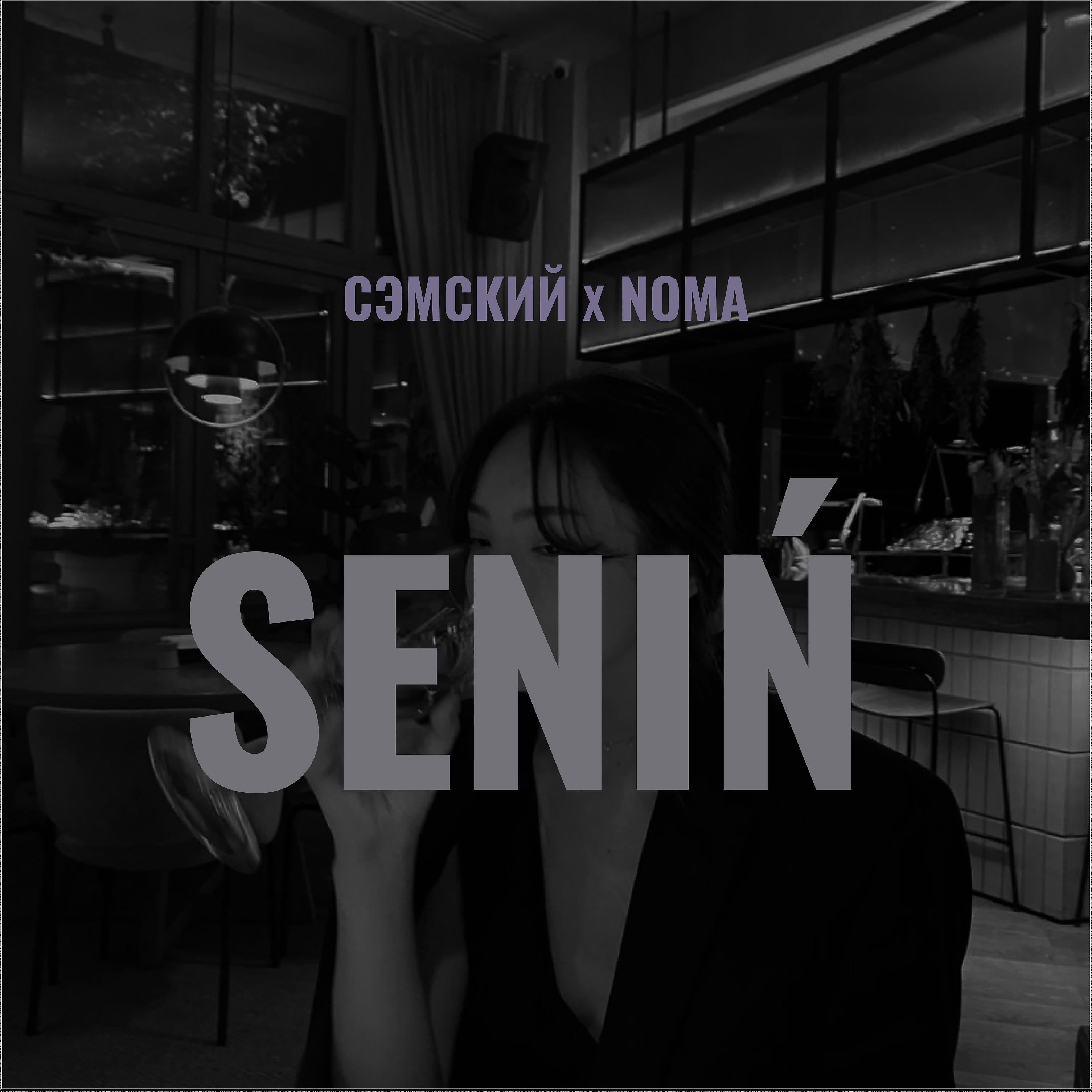 Постер альбома Senin