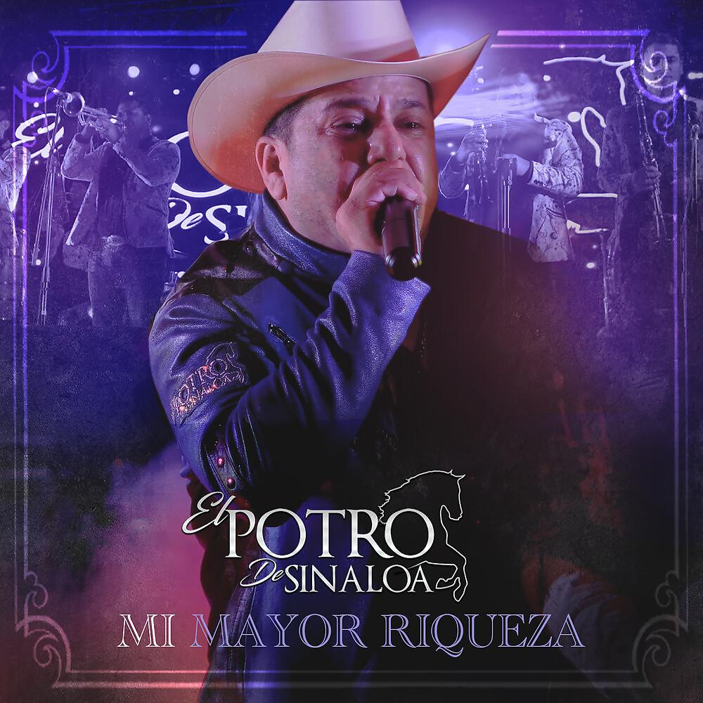 Постер альбома Mi Mayor Riqueza