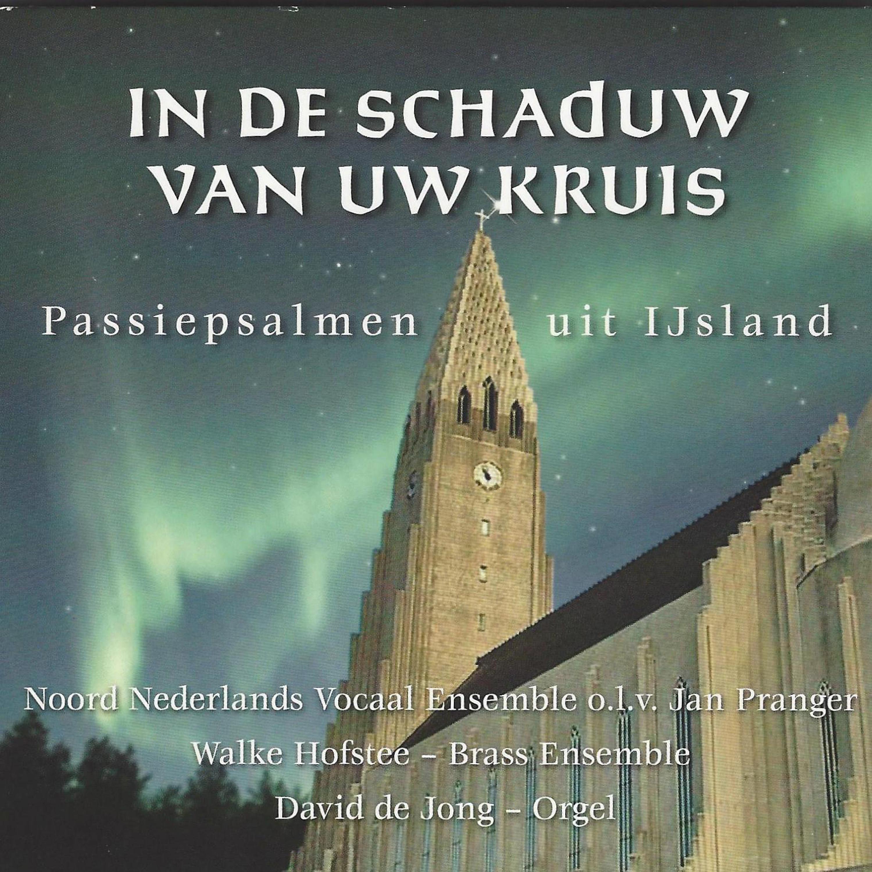Постер альбома In de schaduw van Uw kruis: Passiepsalmen uit IJsland