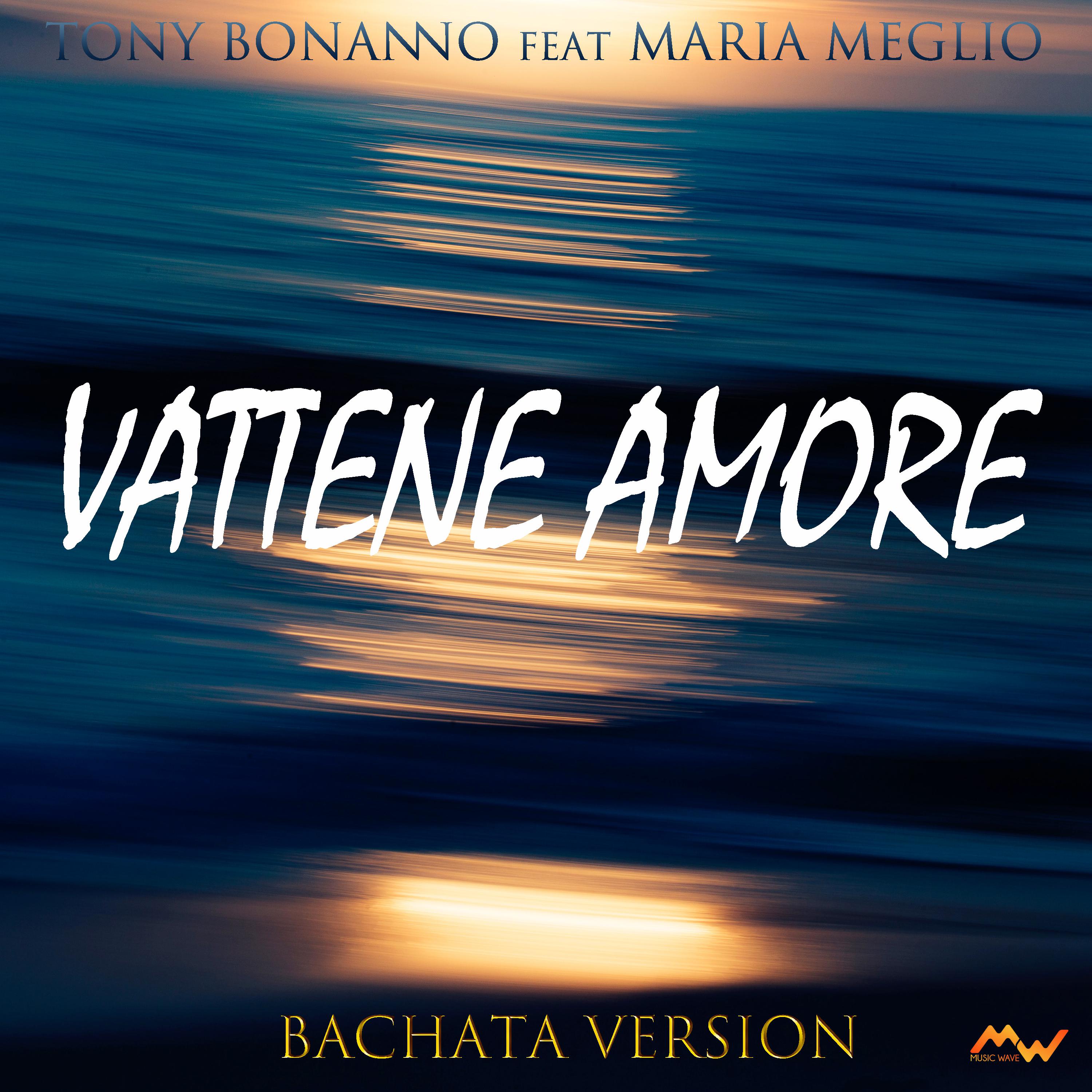 Постер альбома Vattene amore