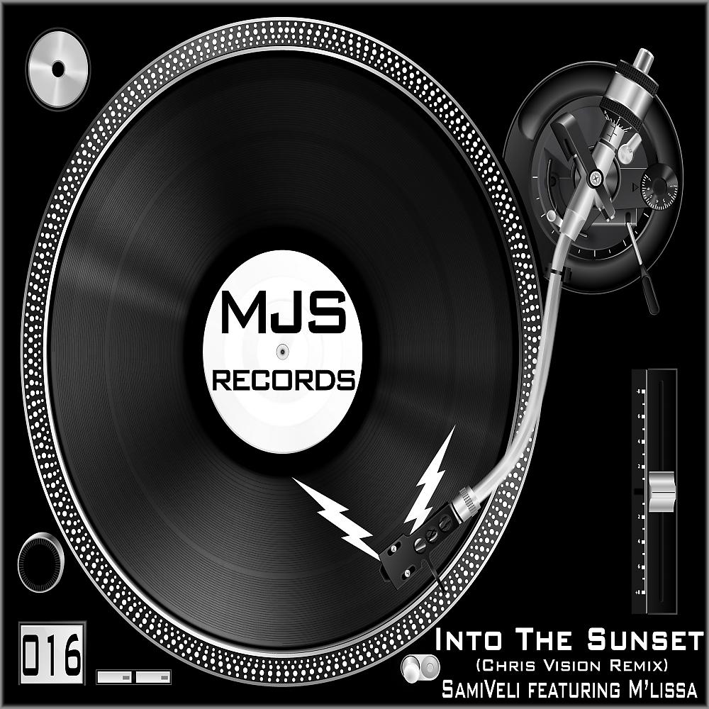 Постер альбома Into The Sunset (Chris Vision Remix)
