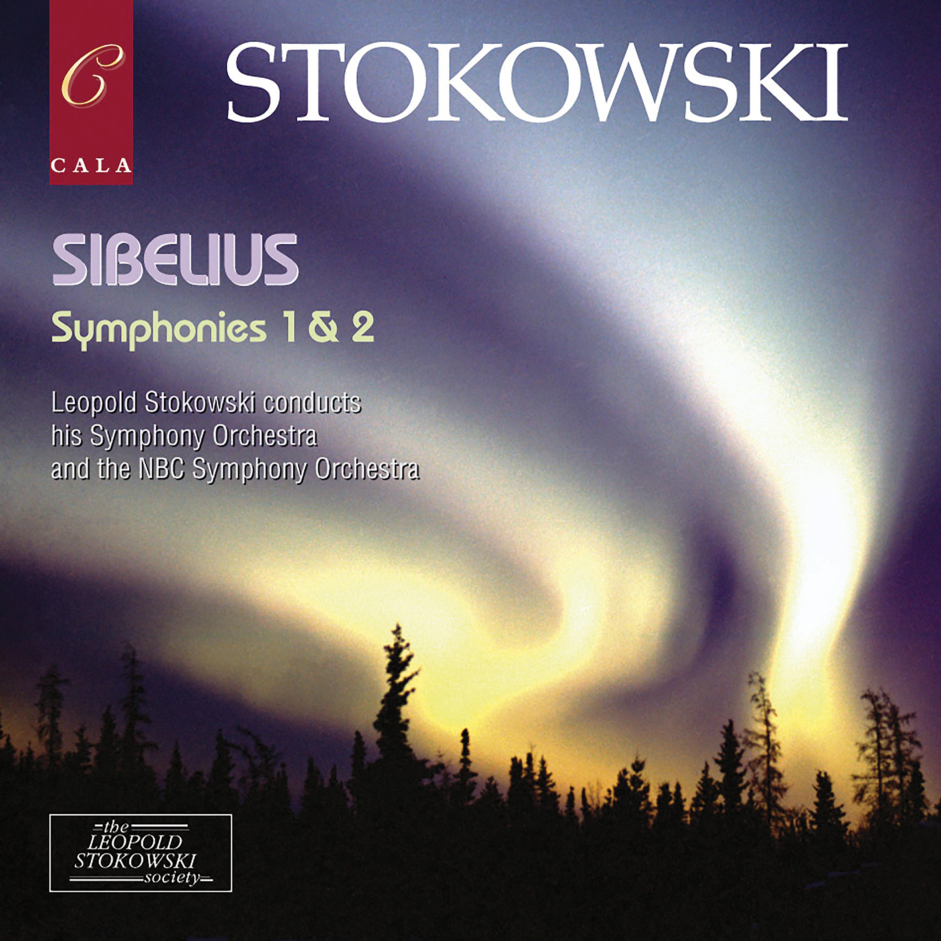 Постер альбома Sibelius: Symphony No. 1 in E Minor & Symphony No. 2 in D Major