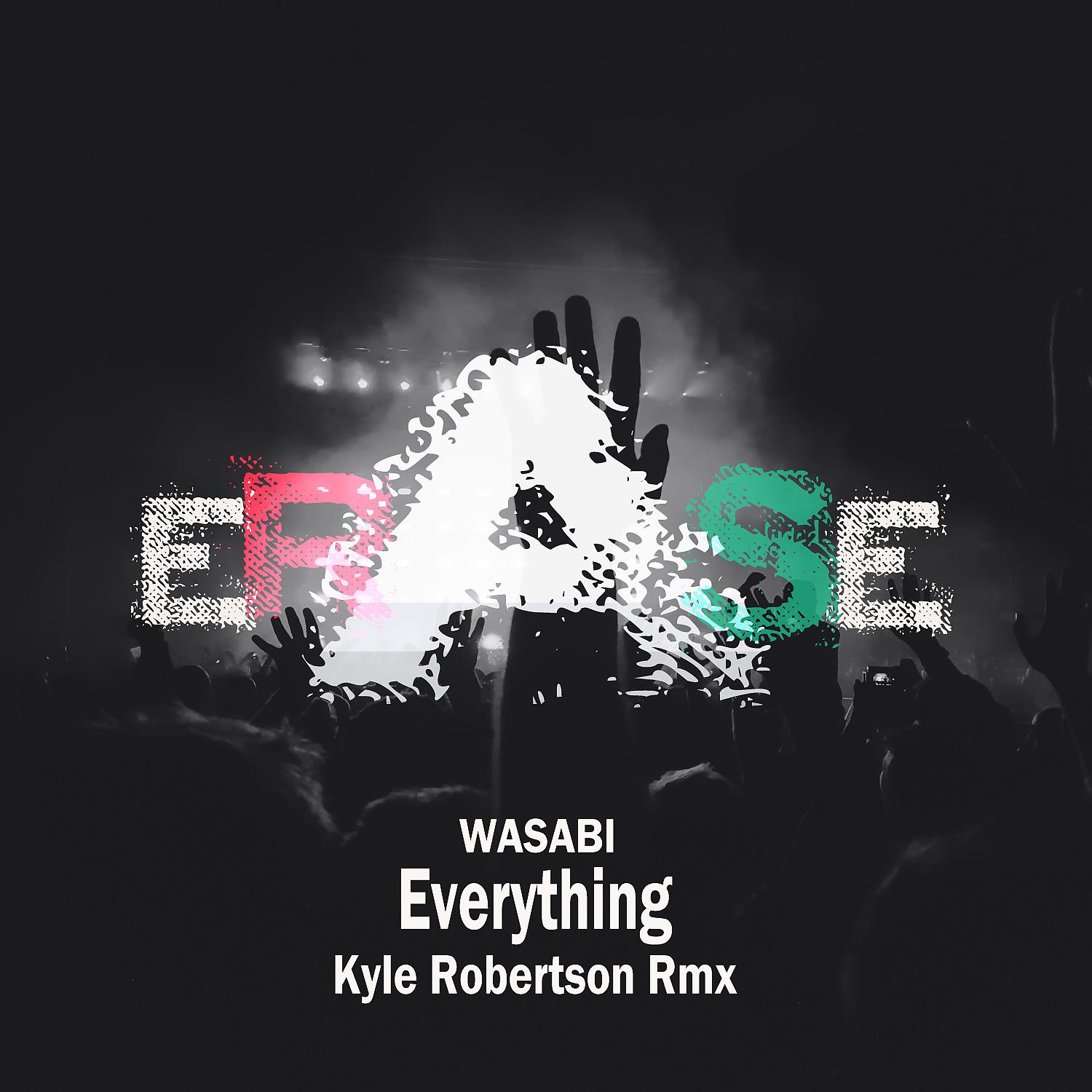 Постер альбома Everything ( Kyle Robertson Rmx)