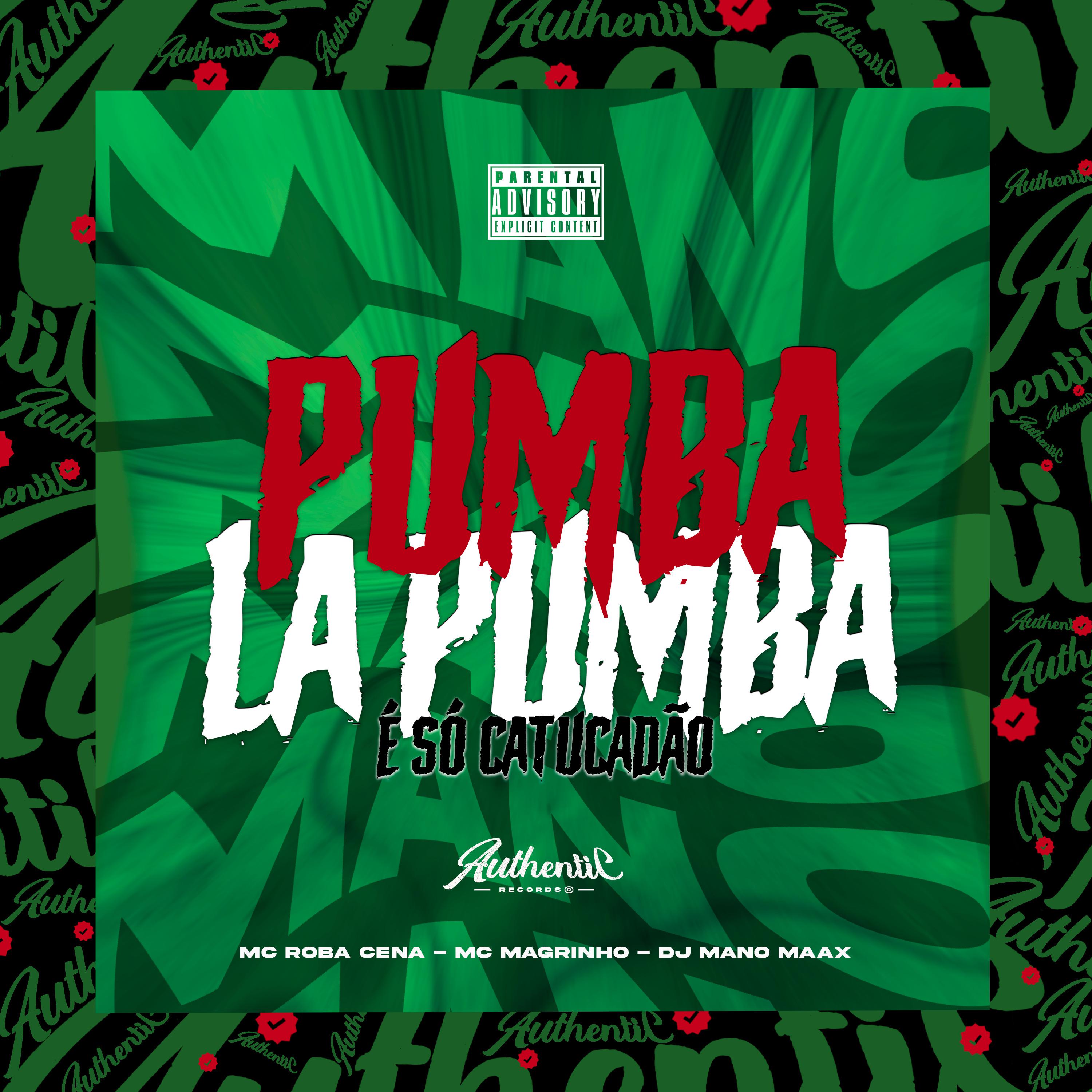 Постер альбома Pumba La Pumba Vs É So Catucadão