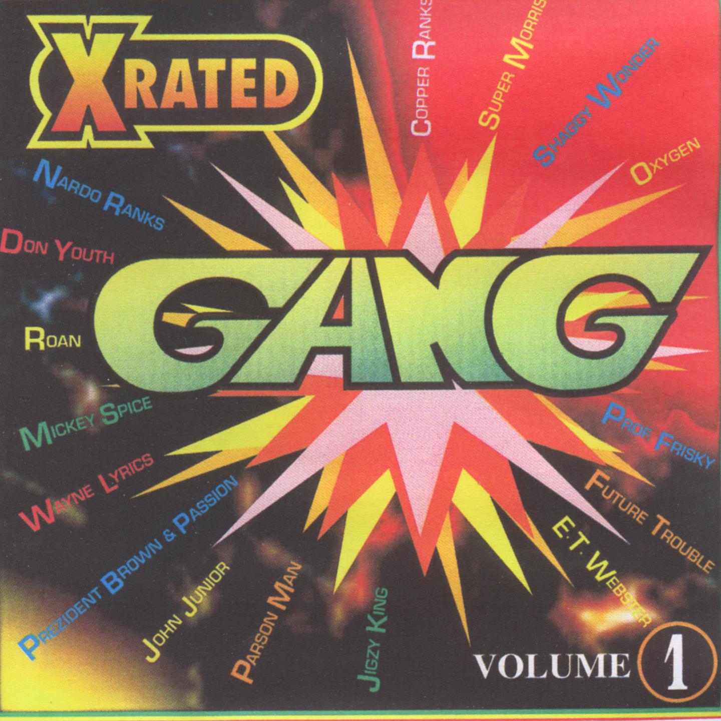 Постер альбома The xrated gang (volume 1)