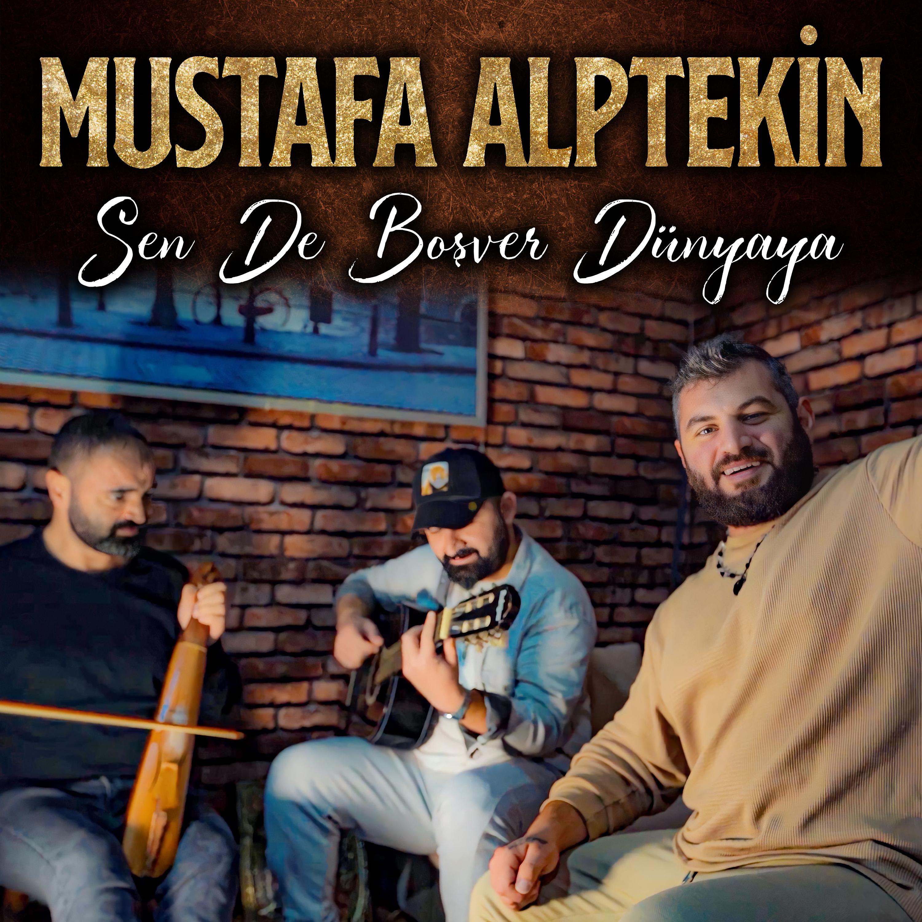 Постер альбома Sen De Boşver Dünyaya