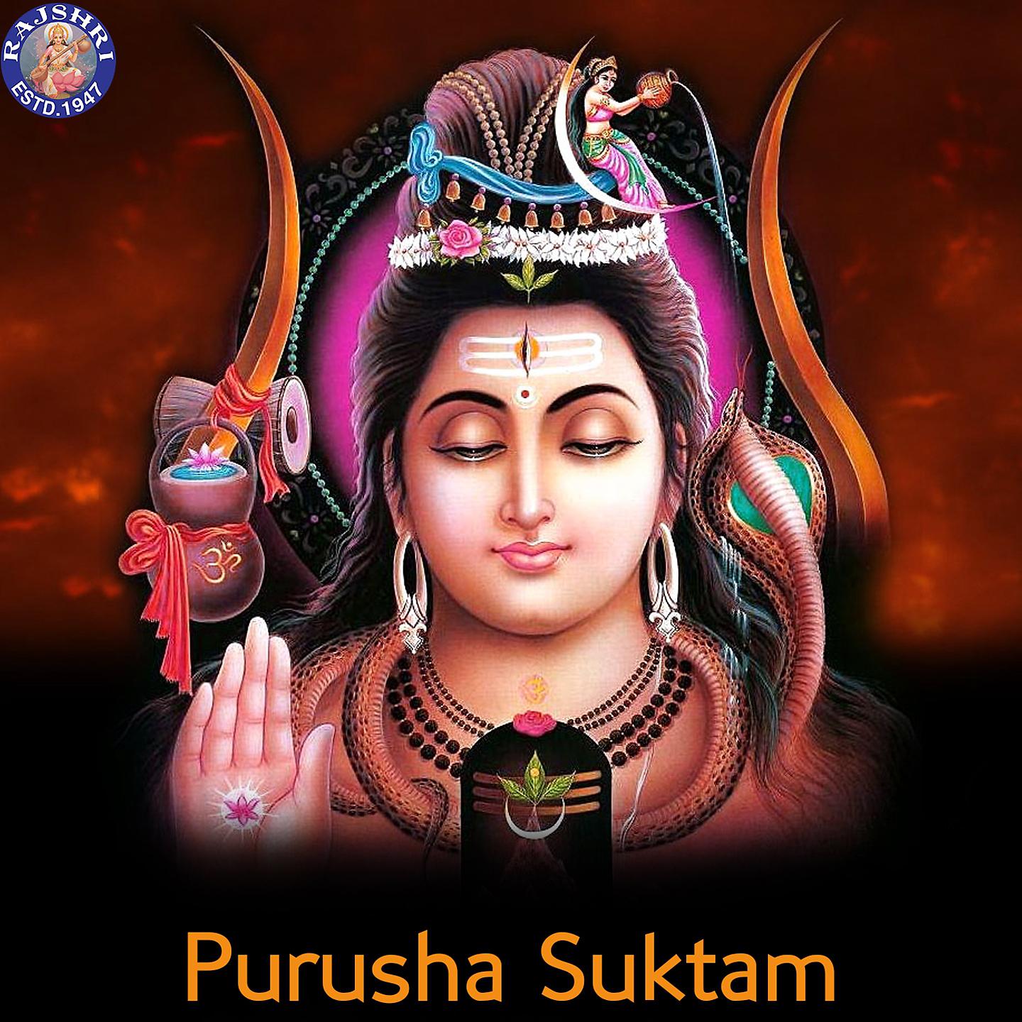 Постер альбома Purusha Suktam