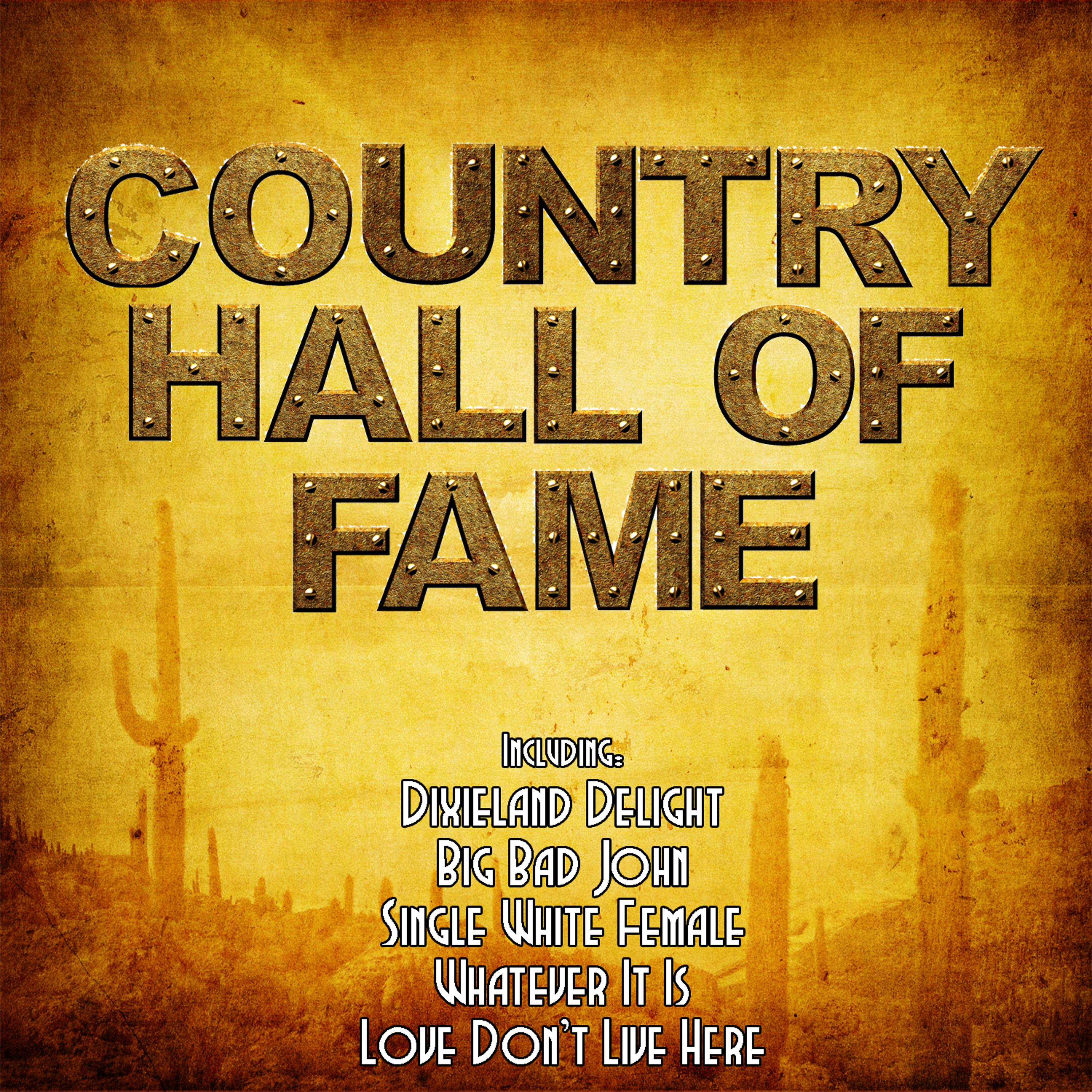 Постер альбома Country Hall Of Fame