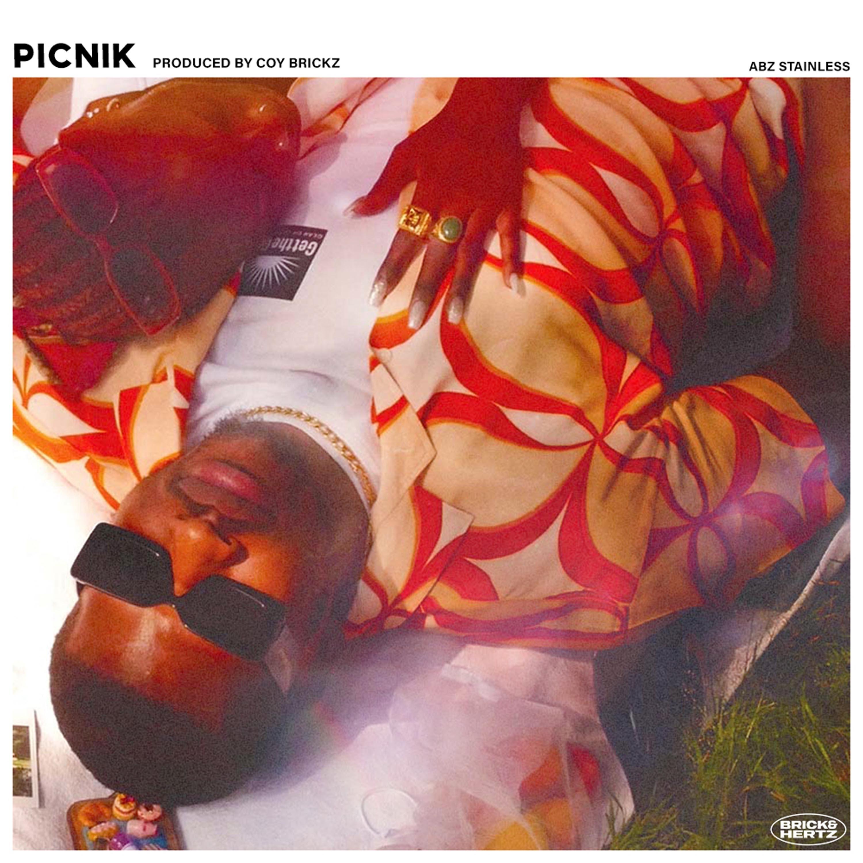 Постер альбома Picnik