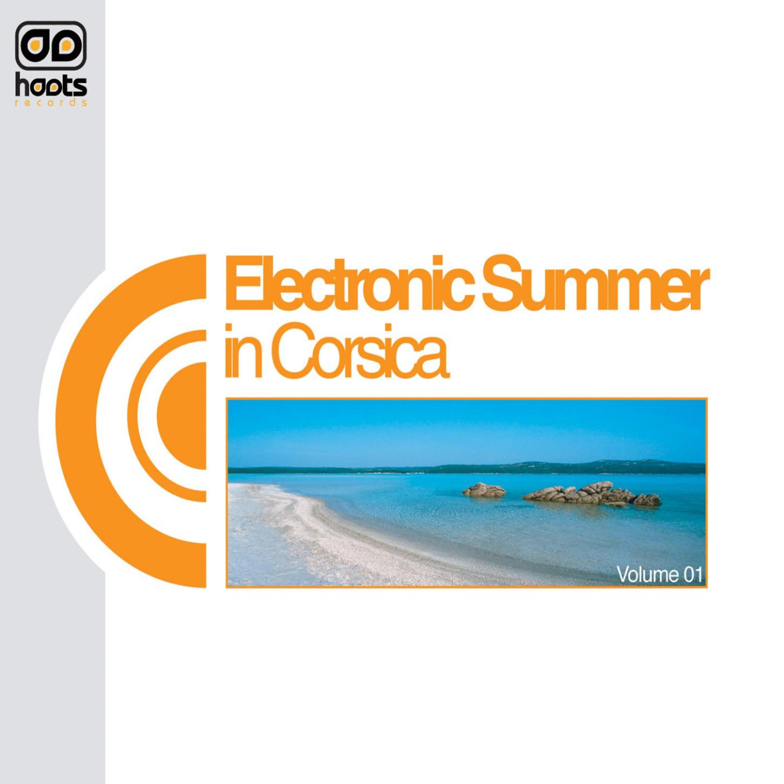 Постер альбома Electronic Summer In Corsica - Volume1