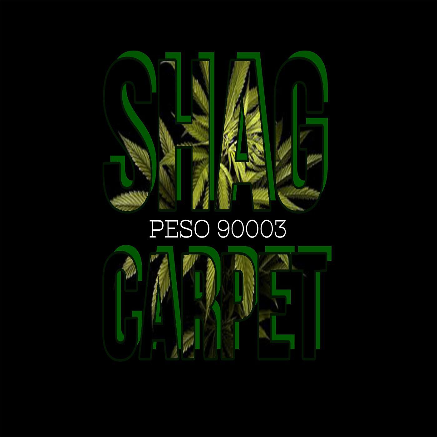Постер альбома Shag Carpet