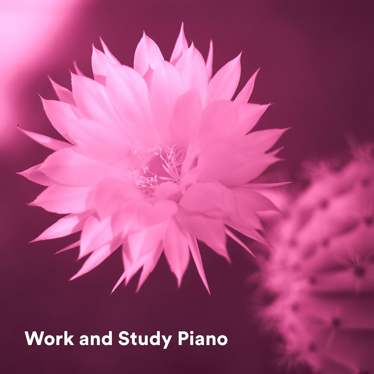 Постер альбома Work and Study Piano
