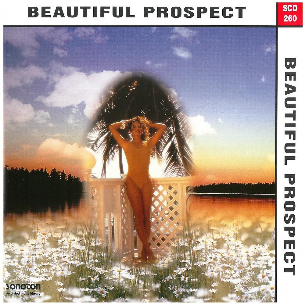 Постер альбома Beautiful Prospect