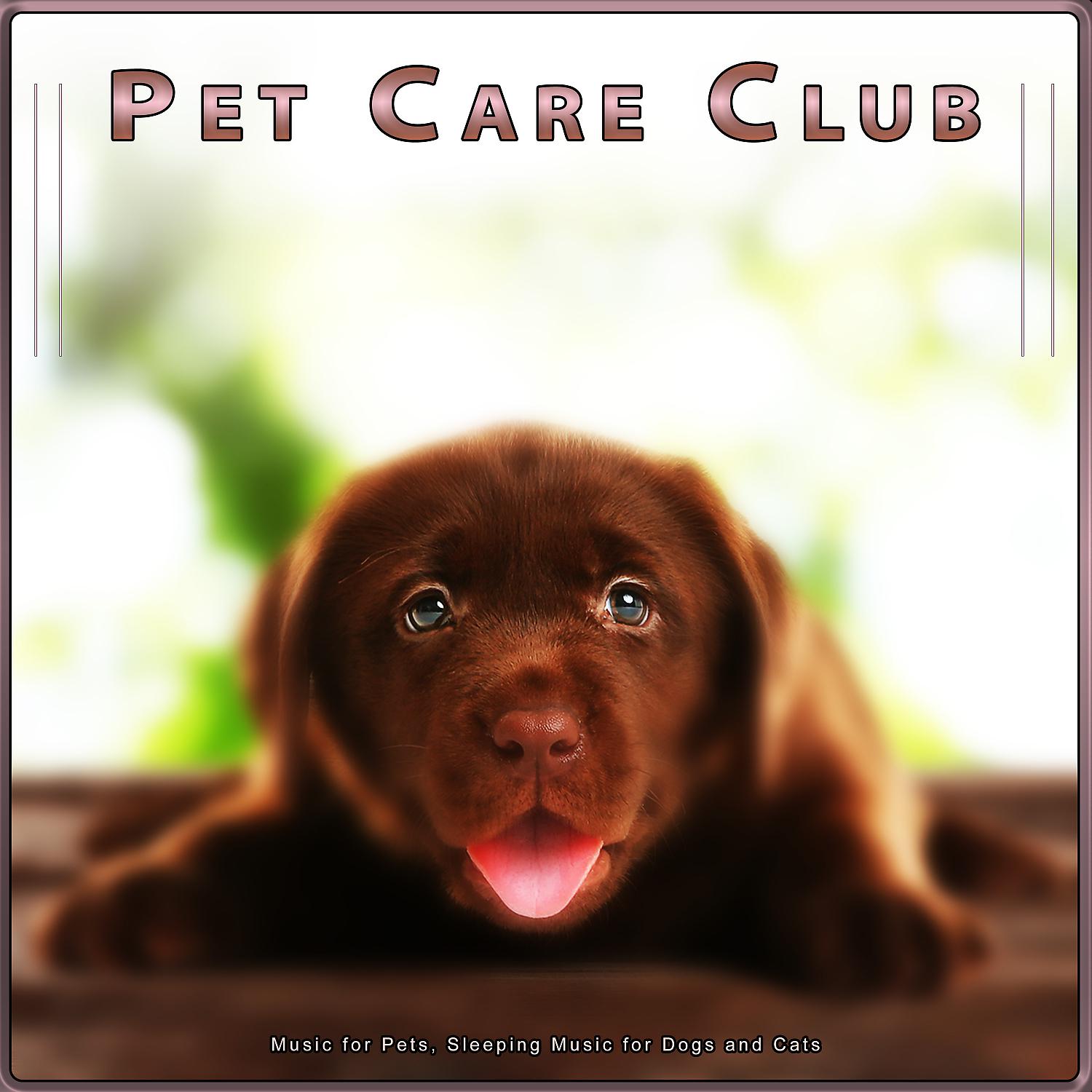 Постер альбома Pet Care Club: Music for Pets, Sleeping Music for Dogs and Cats