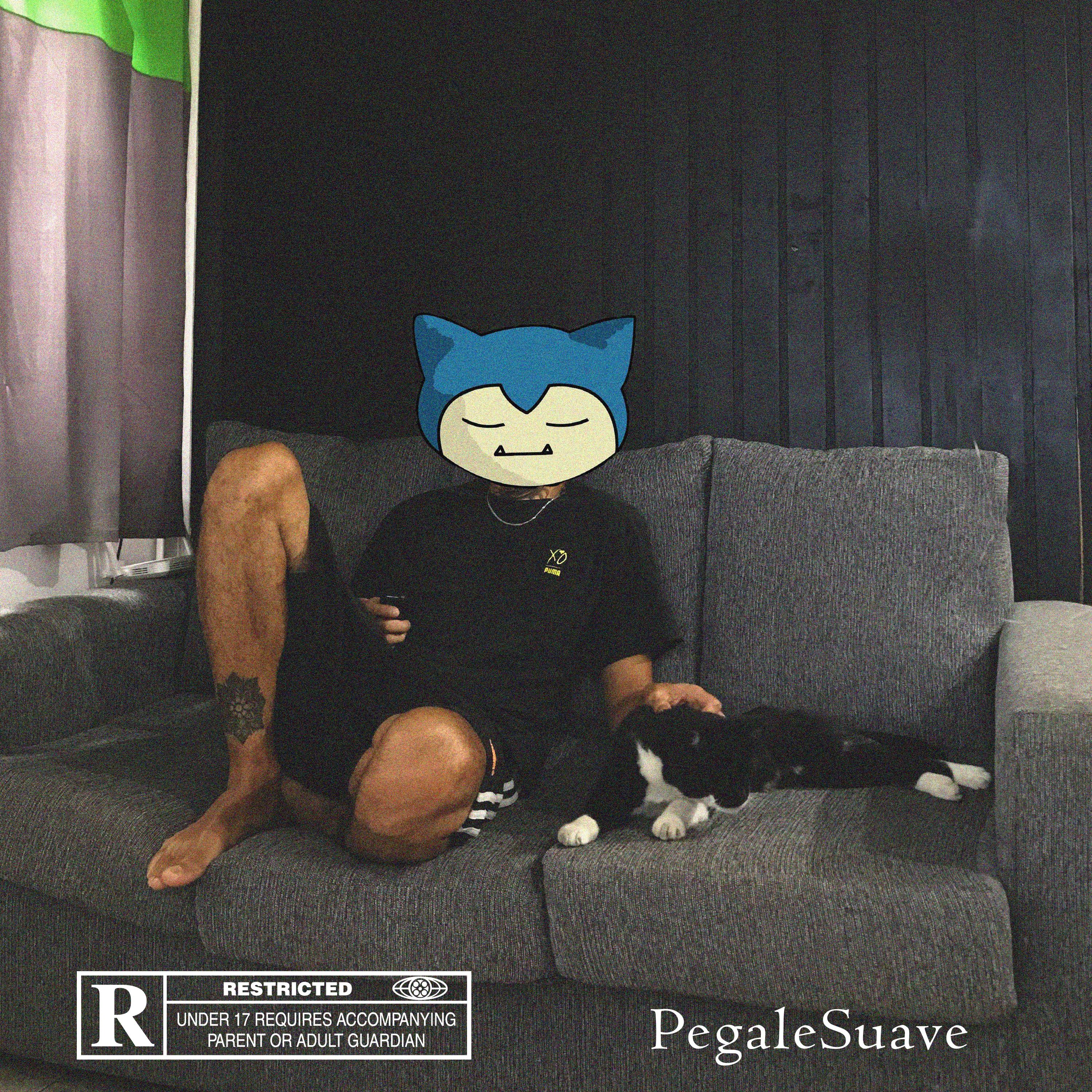 Постер альбома Pegale Suave