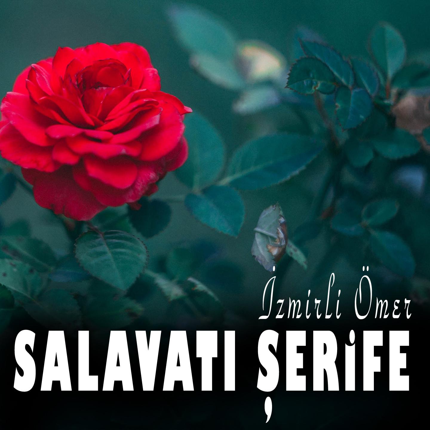 Постер альбома Salavatı Şerife
