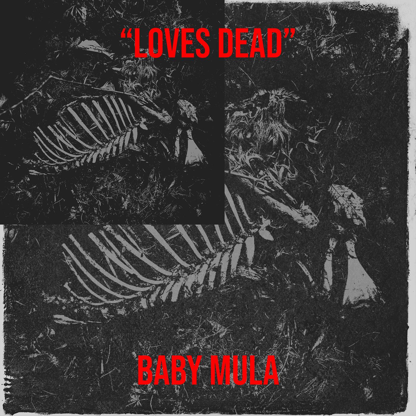 Постер альбома “Loves Dead”