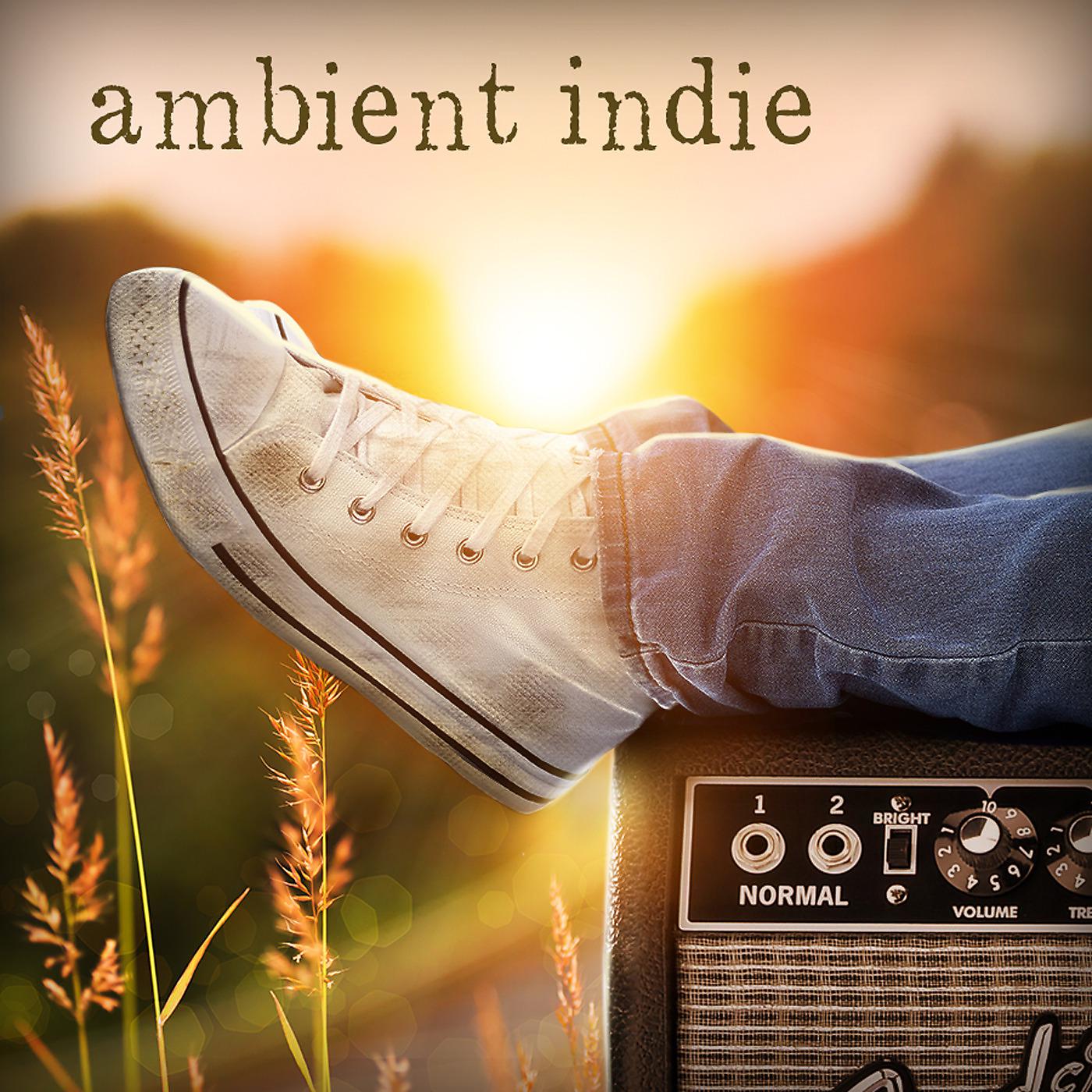 Постер альбома Ambient Indie