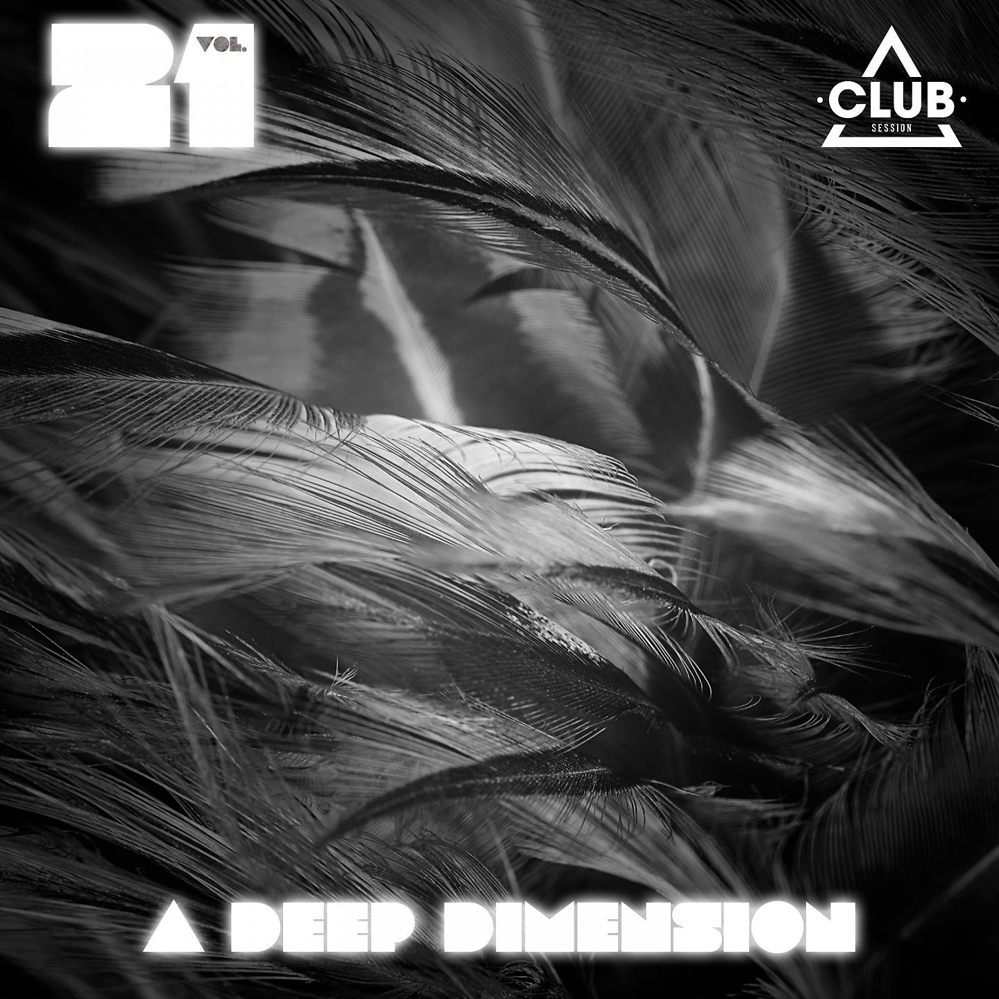 Постер альбома A Deep Dimension, Vol. 21